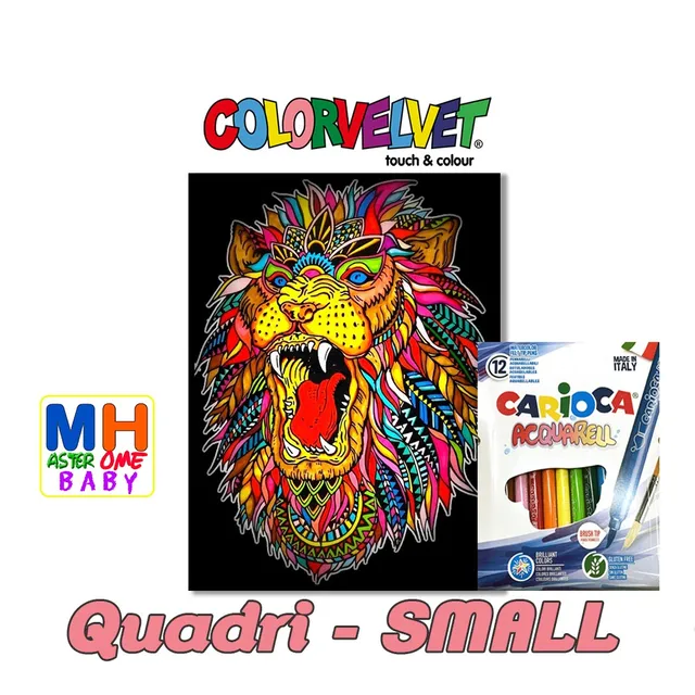 Colorvelvet Quadri-SMALL quadri da colorare