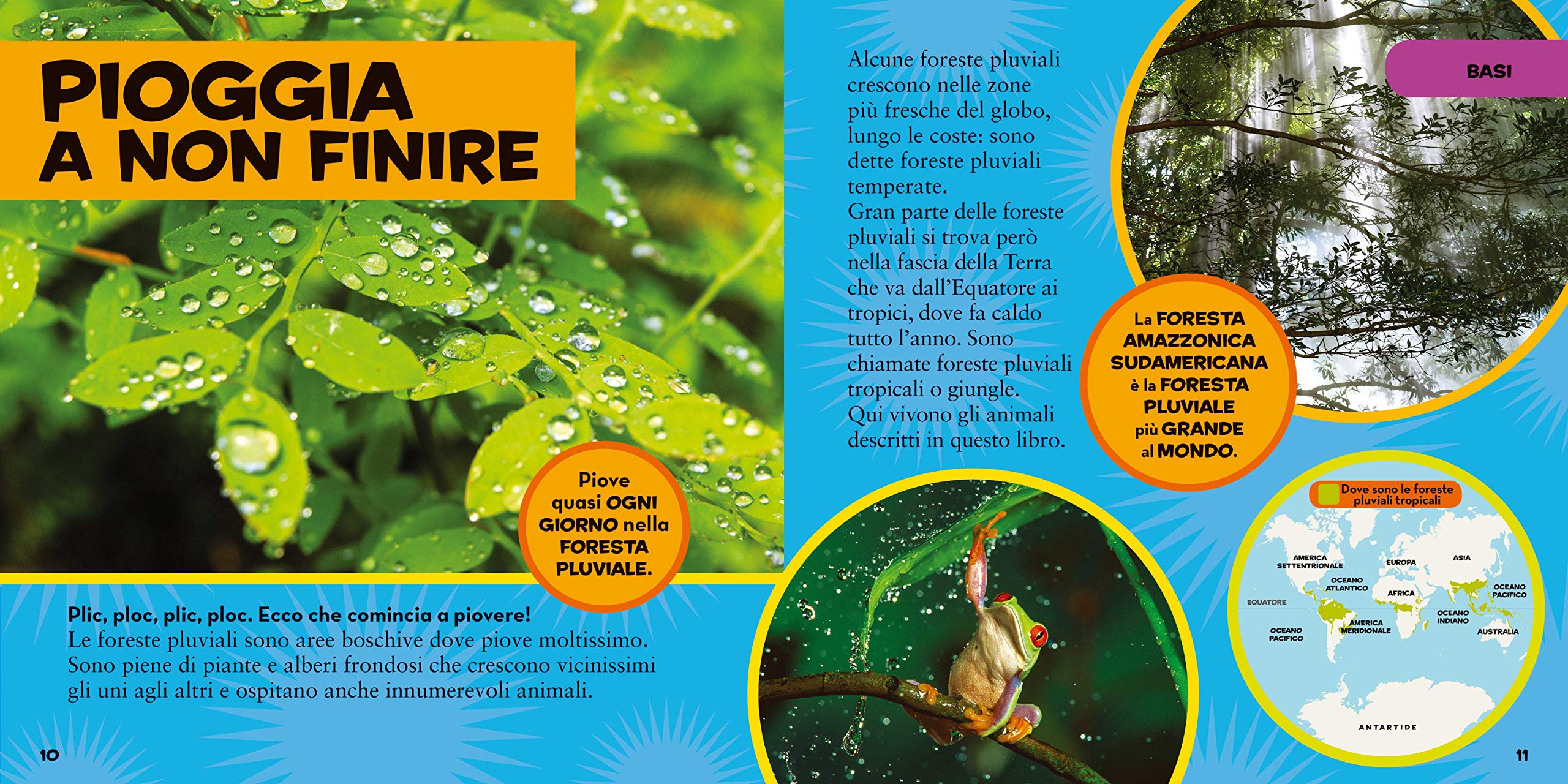 National Geographic Kids – Libri Il primo grande libro della foresta pluviale libro