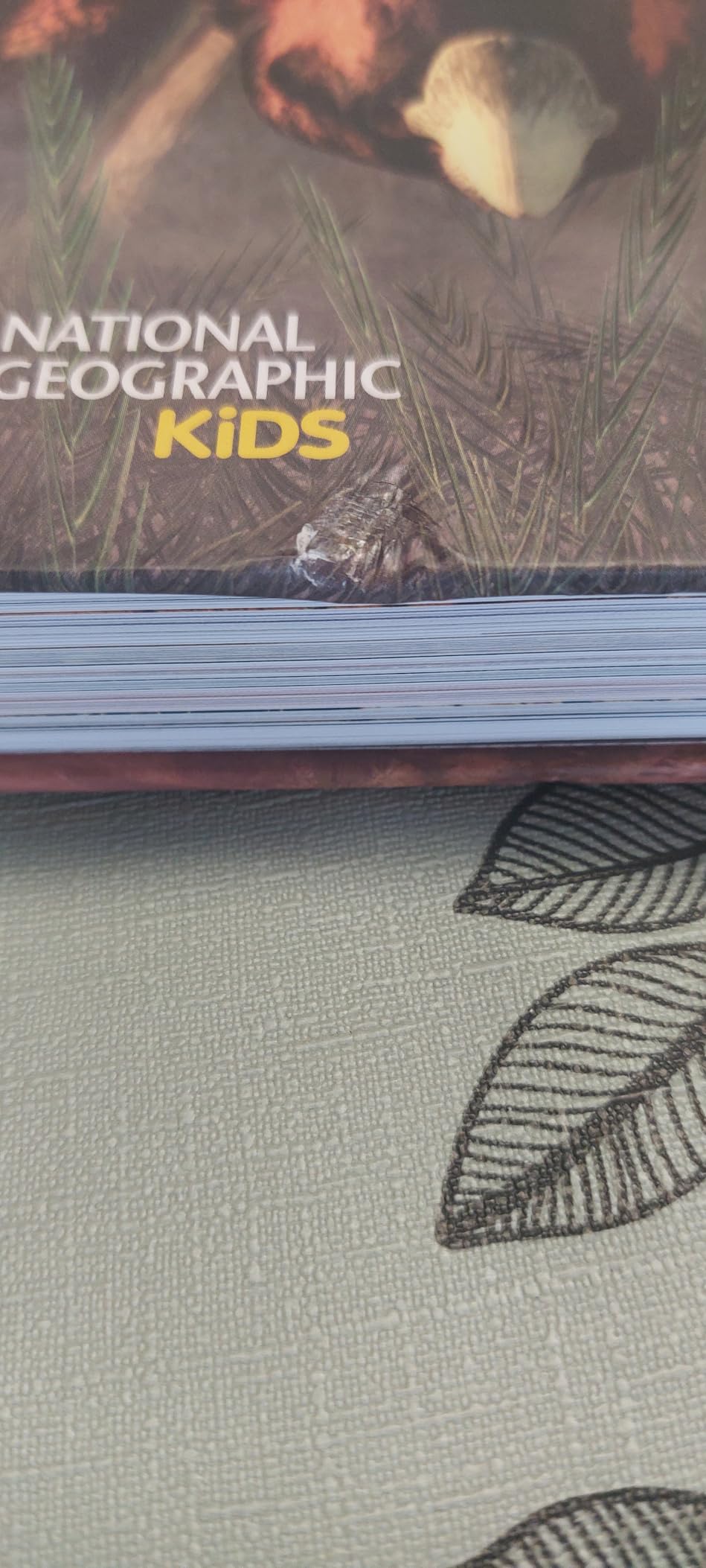 National Geographic Kids – Libri A tu per tu con i dinosauri libro illustrato
