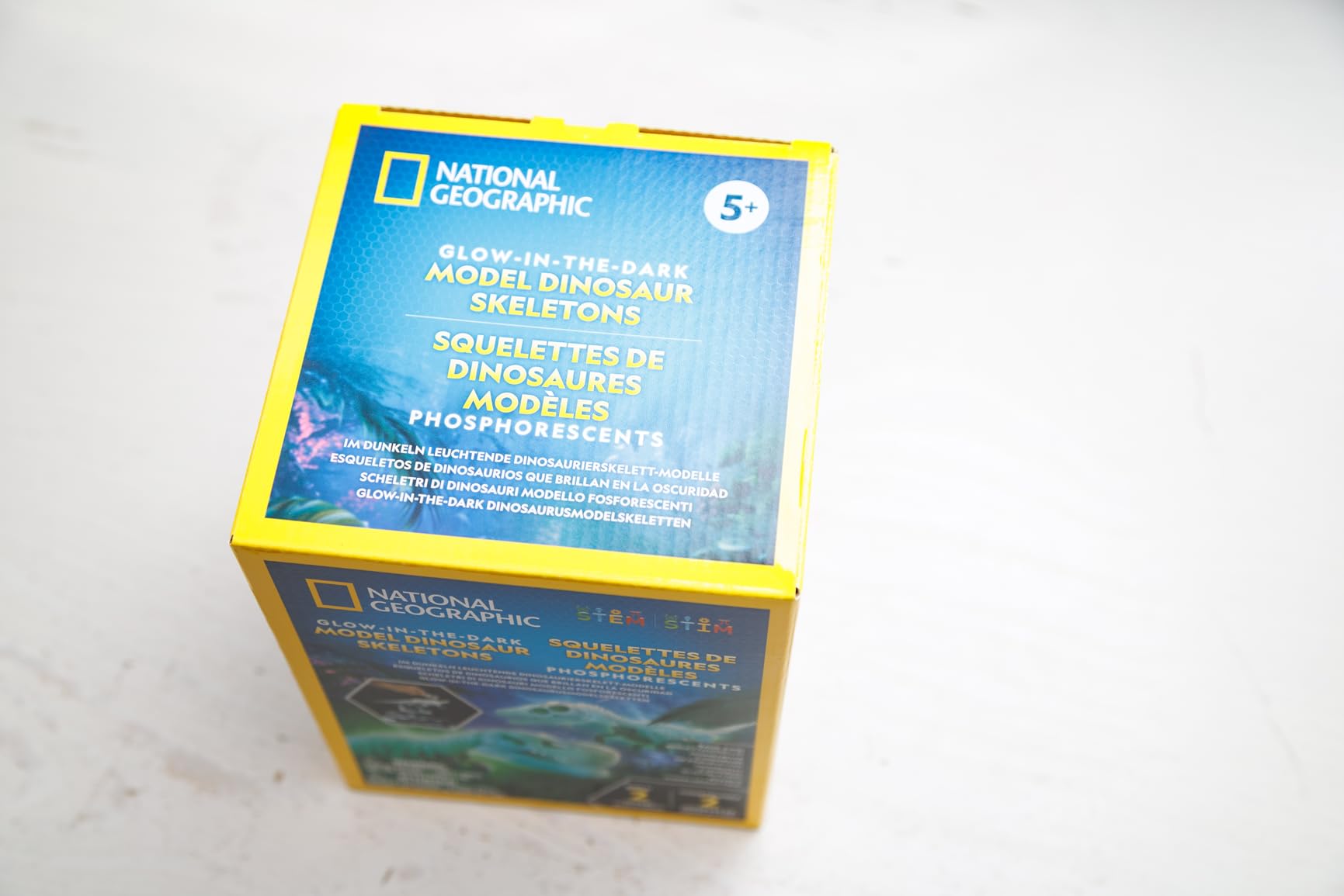 National Geographic Kit scientifici e di scoperta Scheletri Dinosauri Glow in the Dark kit fosforescente