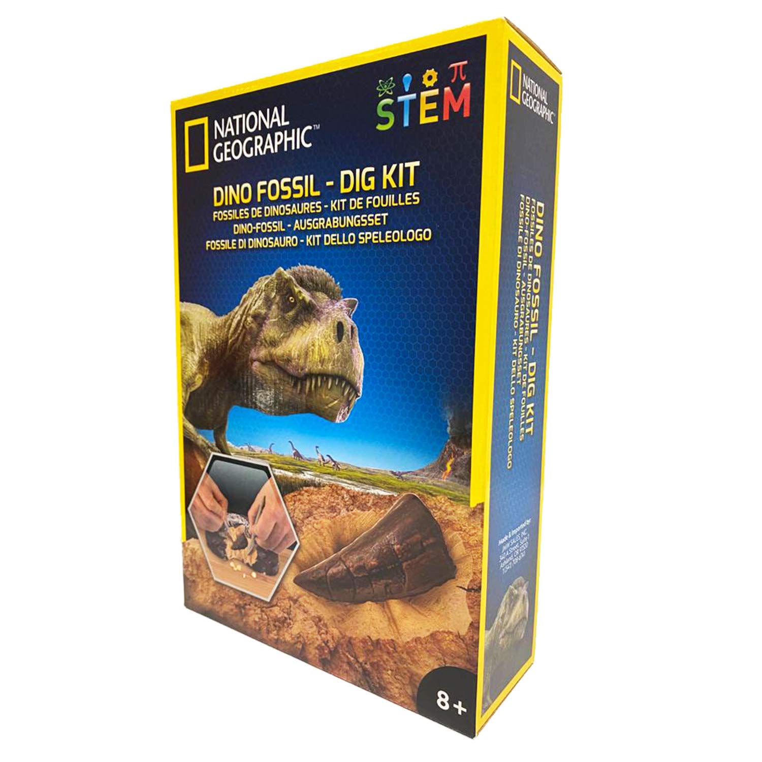 National Geographic Kit scientifici e di scoperta Kit Scavare 3 Insetti