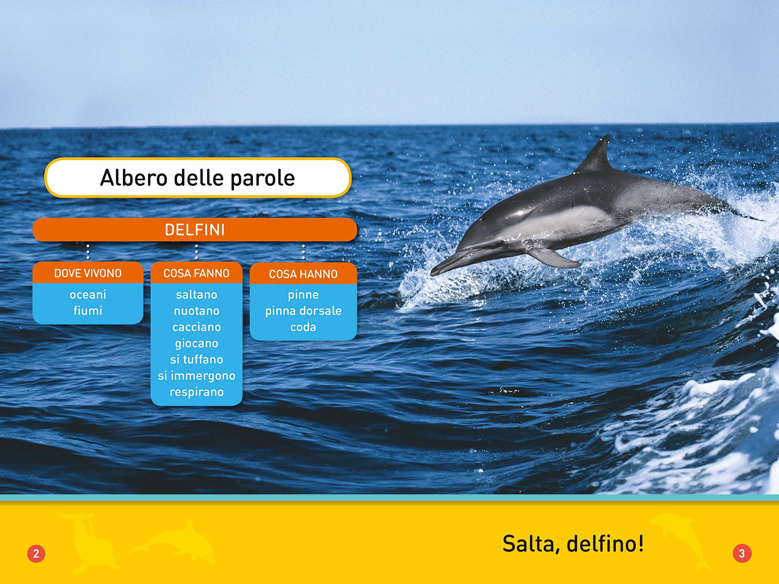 National Geographic Kids – Libri Il mio amico delfino! Primi passi. Diventa un super lettore. Ediz. a colori libro
