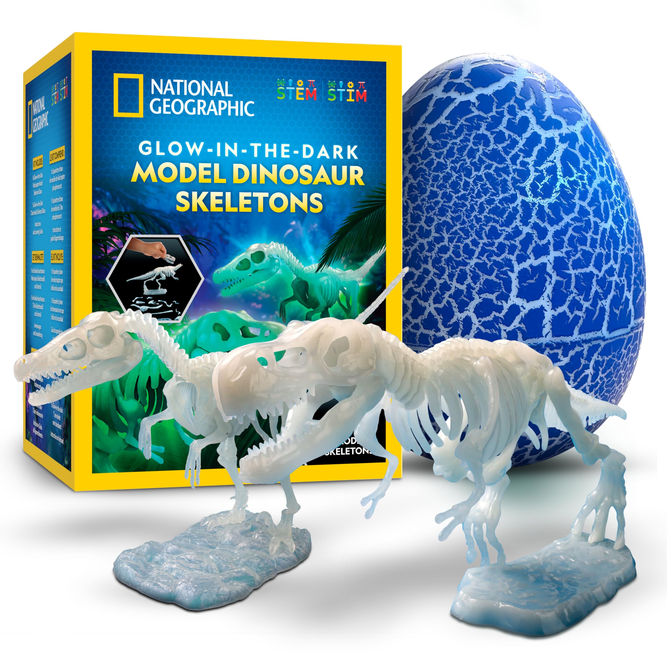 National Geographic Kit scientifici e di scoperta Scheletri Dinosauri Glow in the Dark kit fosforescente