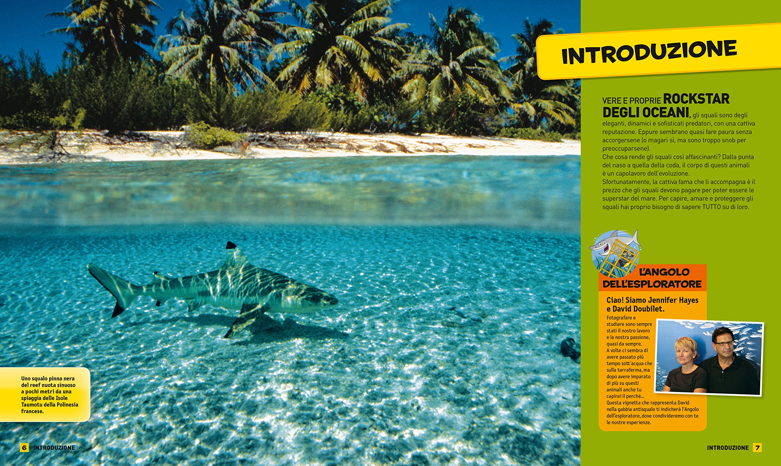 National Geographic Kids – Libri Tutto sugli squali libro a colori