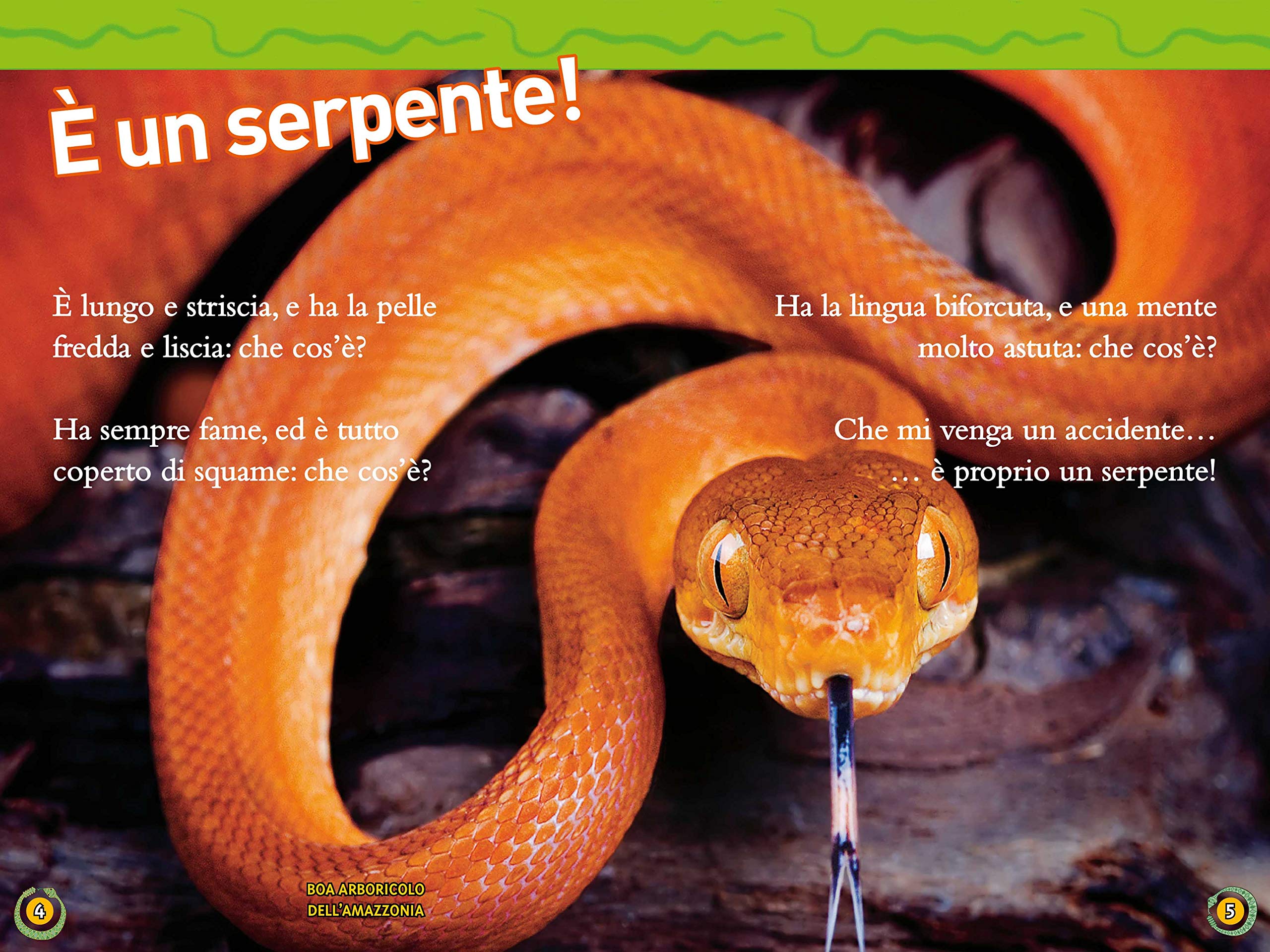 National Geographic Kids – Libri Serpenti. Livello 3 libro lettura
