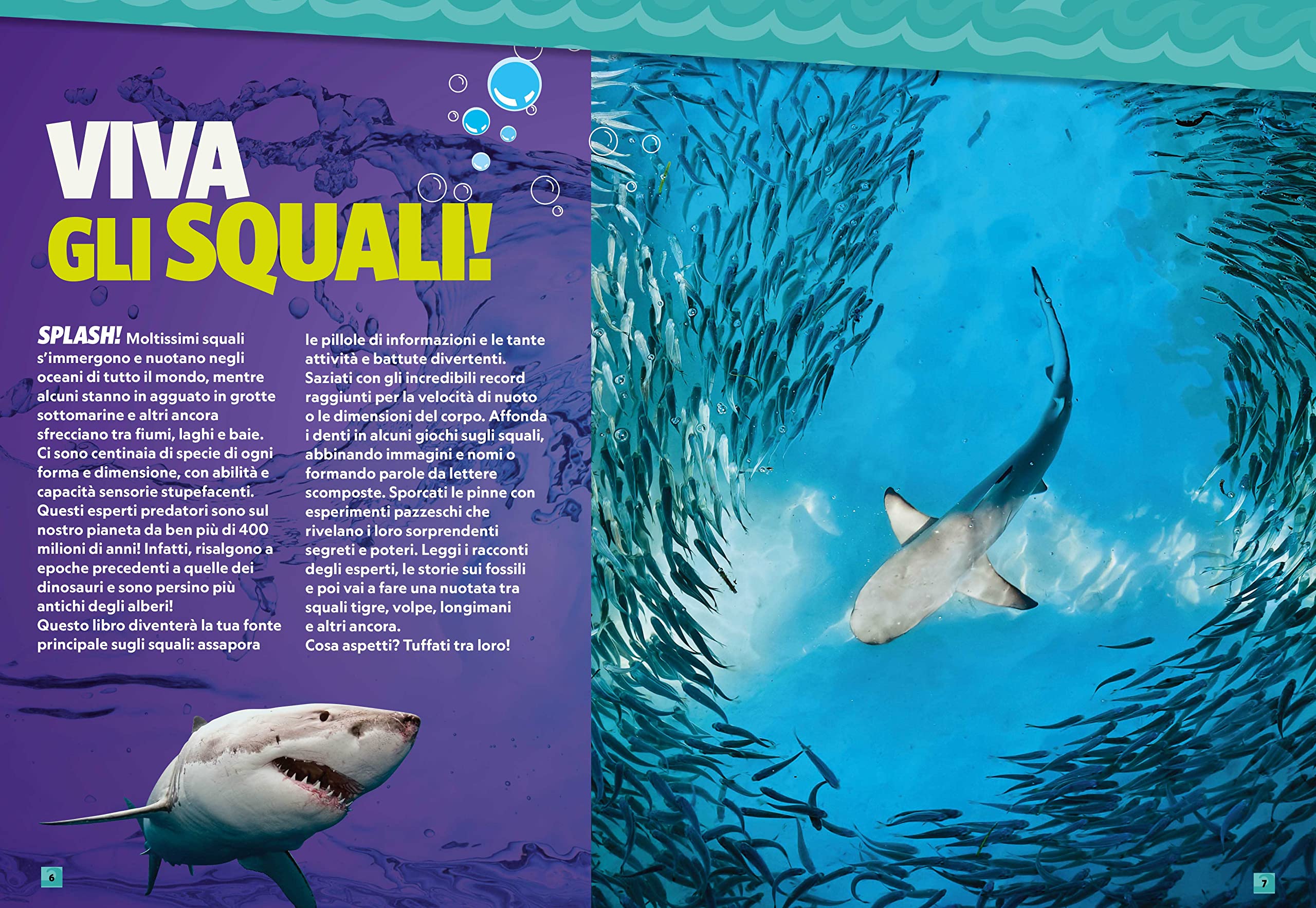 National Geographic Kids – Libri A ciascuno il suo squalo! libro