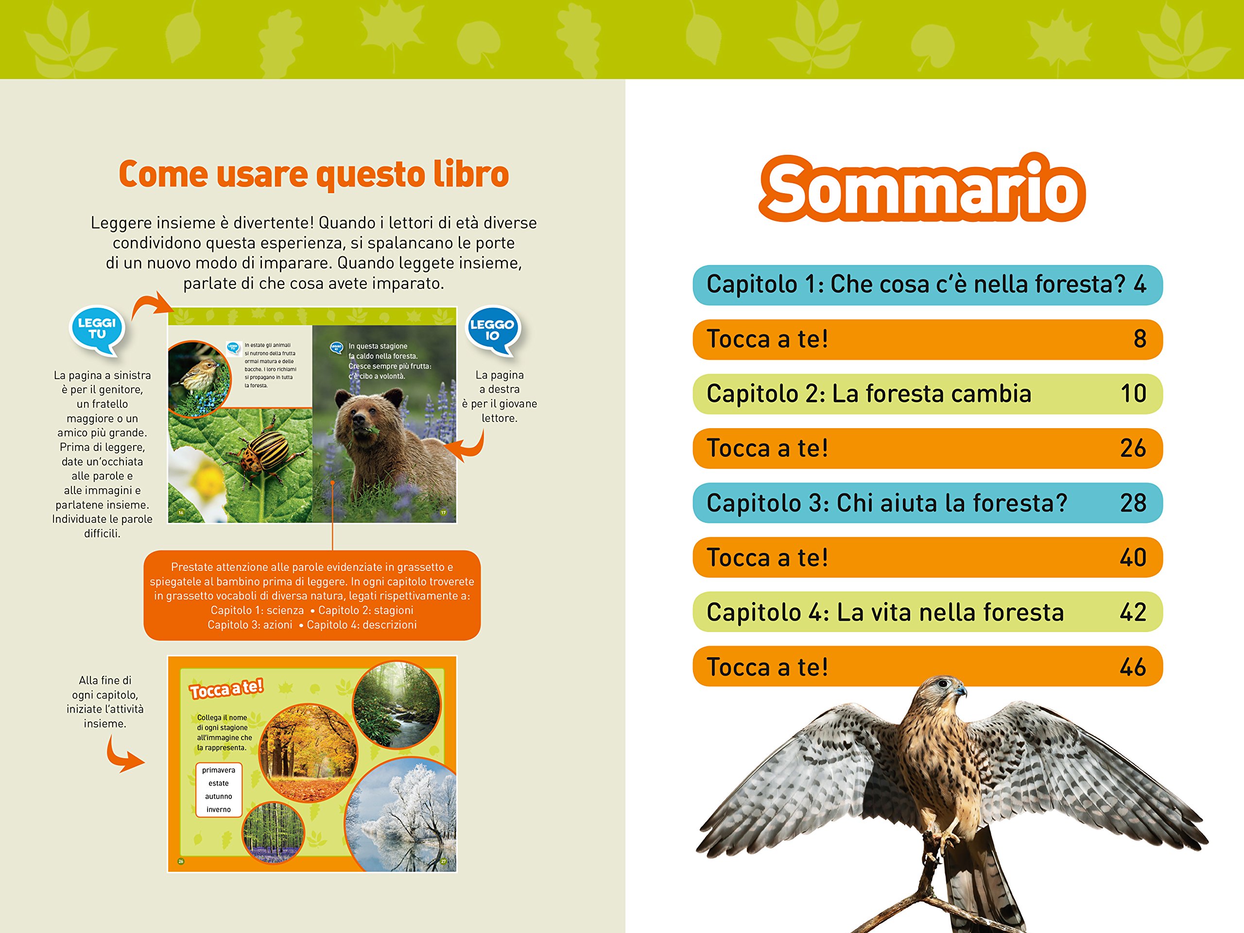 National Geographic Kids Nella foresta Livello 1 libro per bambini