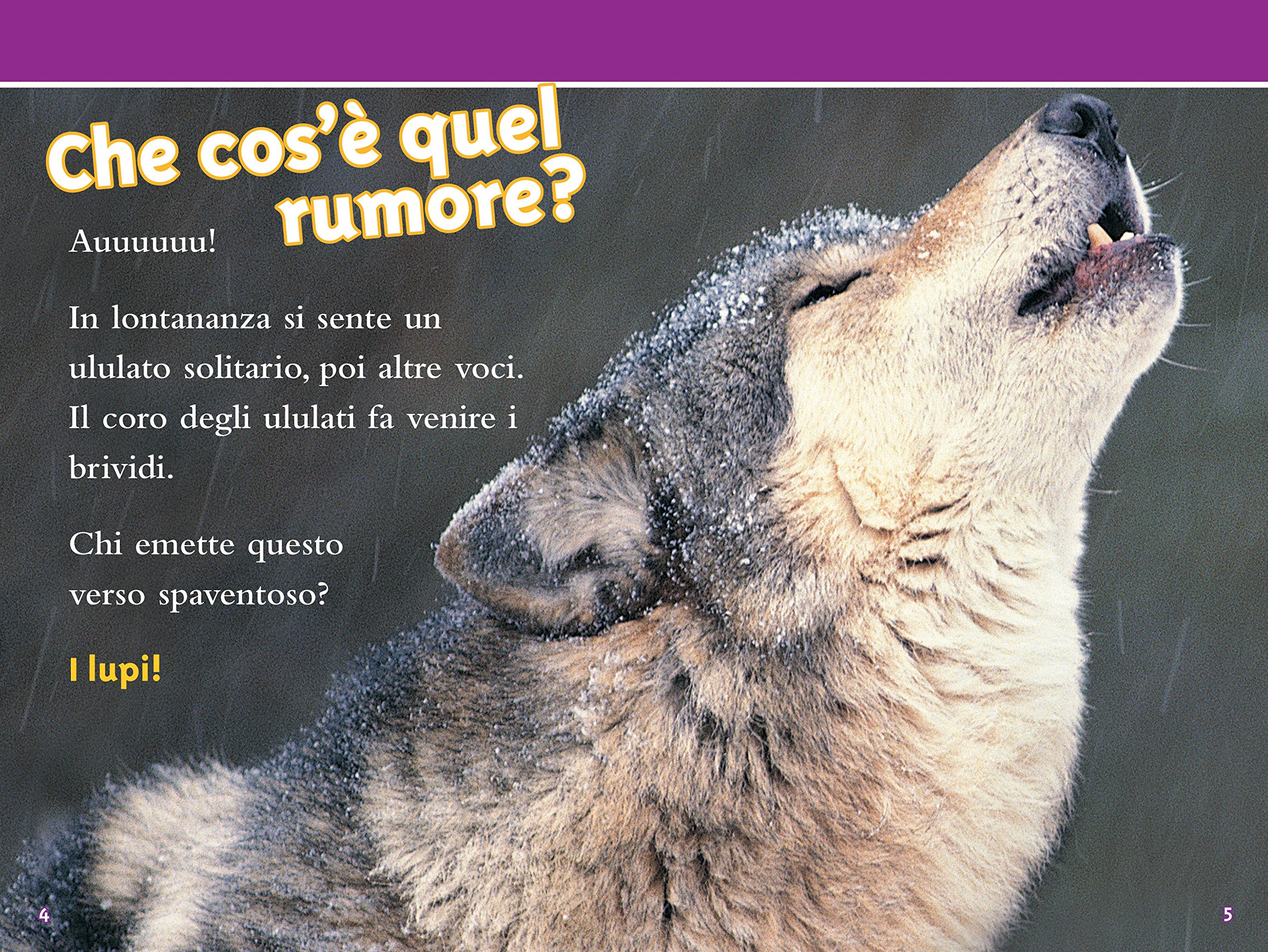 National Geographic Kids – Libri Lupi. Livello 3. Ediz. a colori libro illustrato