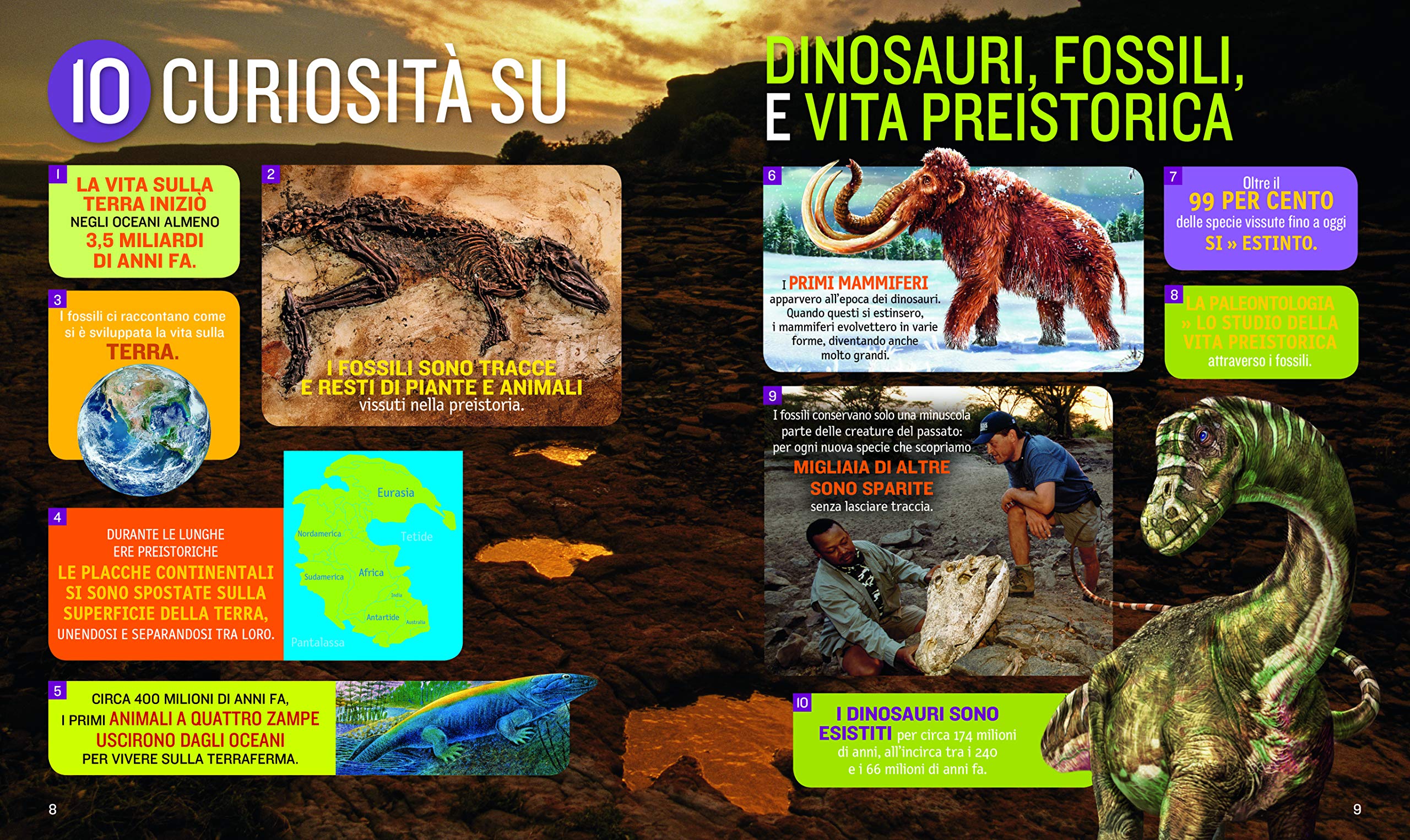 National Geographic Kids – Libri 1000 curiosità su dinosauri, fossili e vita preistorica libro