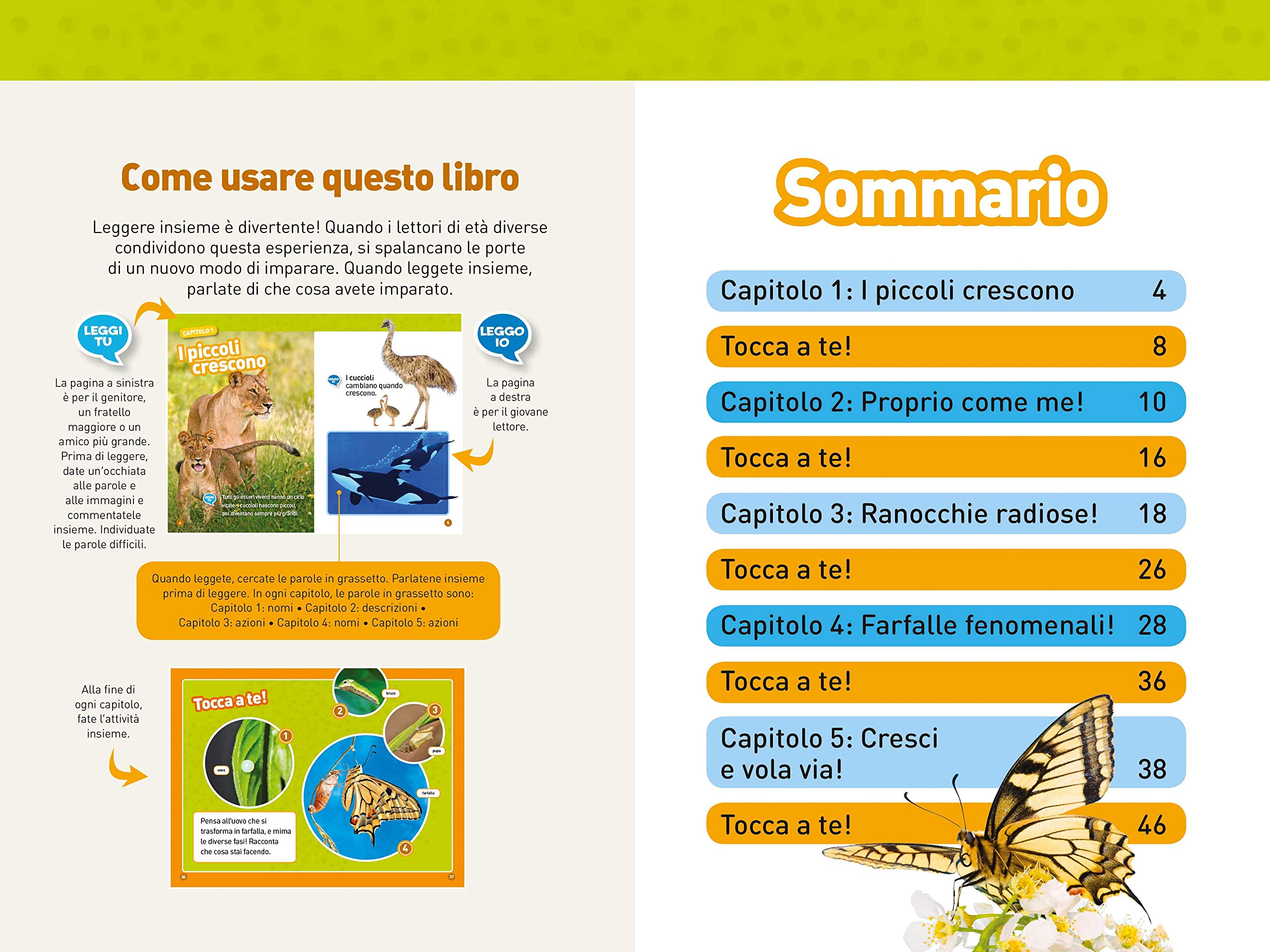 National Geographic Kids – Libri Da girino a rana. Come si trasformano gli animali. Livello 1. Diventa un super lettore libro a colori
