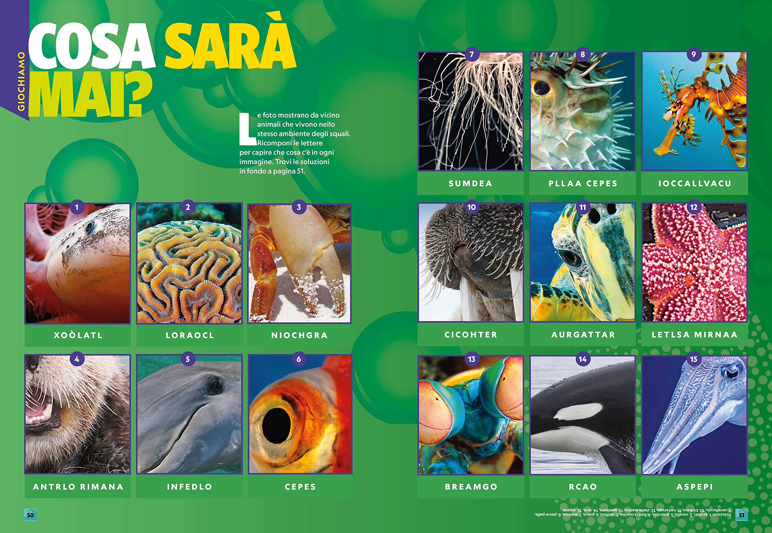 National Geographic Kids – Libri A ciascuno il suo squalo! libro