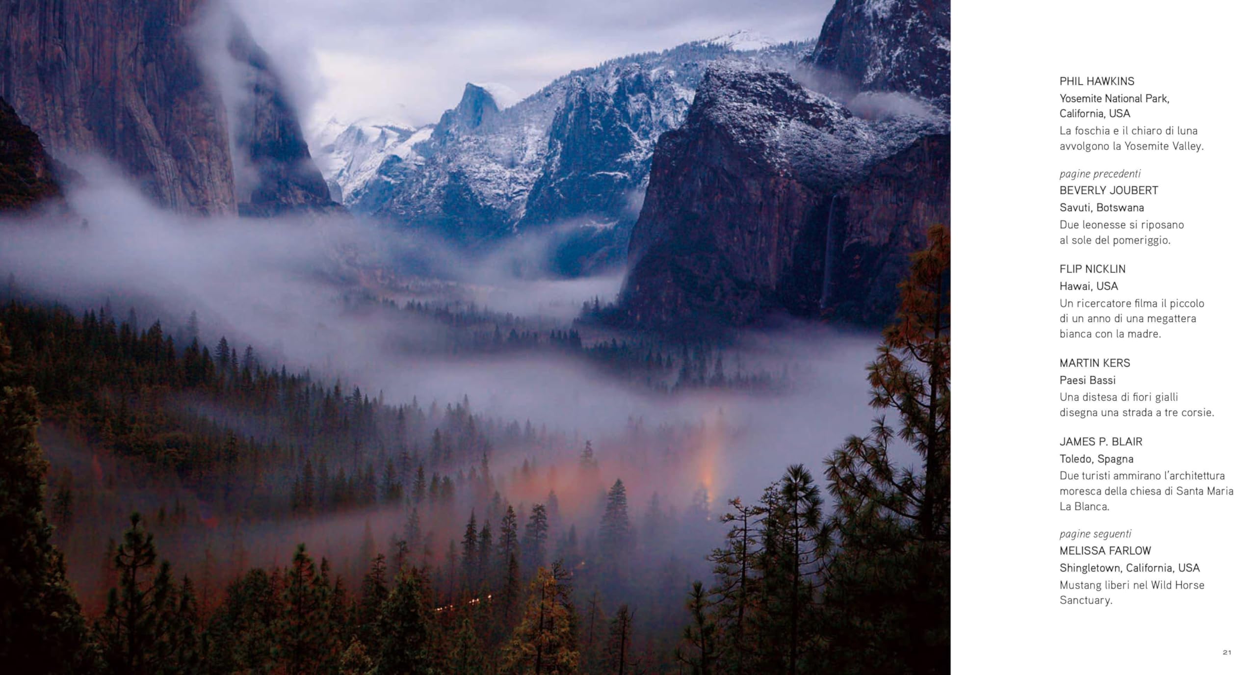 National Geographic – Libri Un mondo di bellezza. Ediz. a colori libro