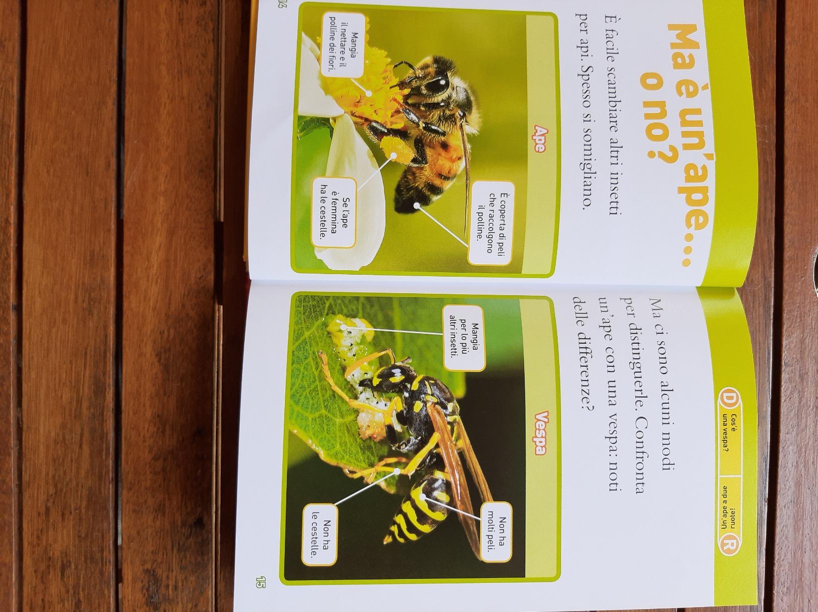 National Geographic Kids – Libri Api. Livello 3. Ediz. a colori