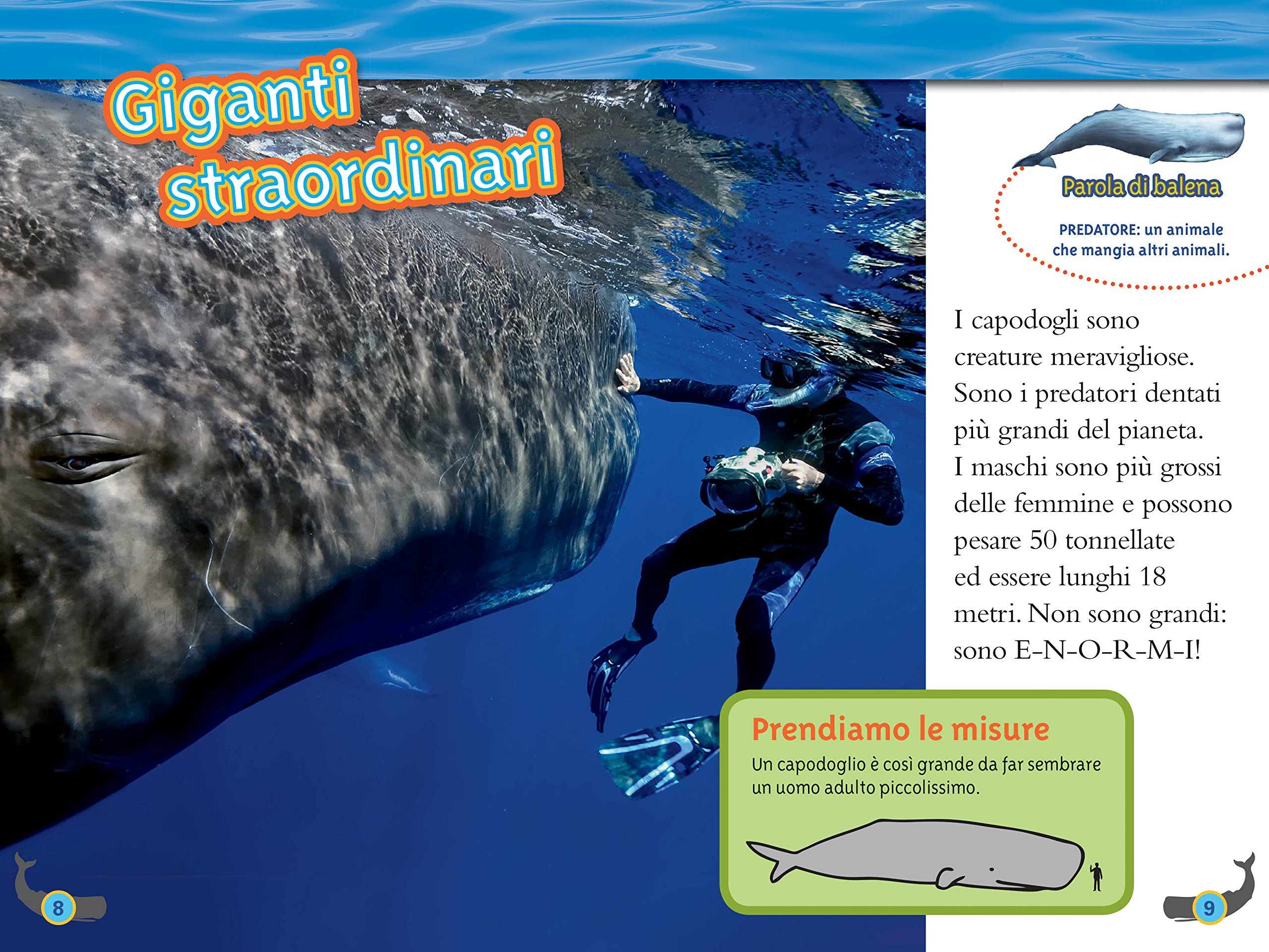 National Geographic Kids – Libri Balene. Livello 4 libro a colori