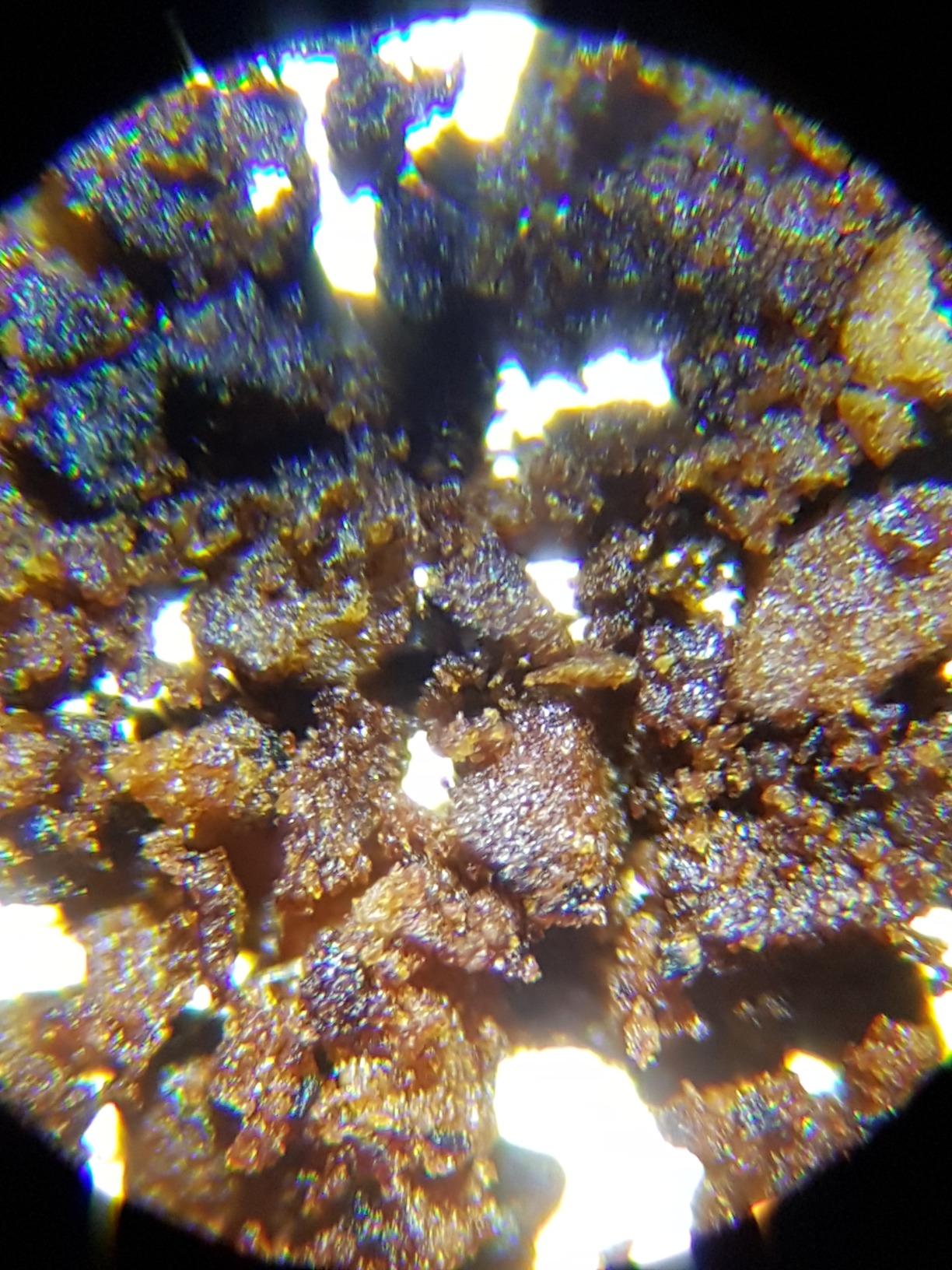 National Geographic Microscopi 9039001 Microscopio 40X-1280X con smartphone