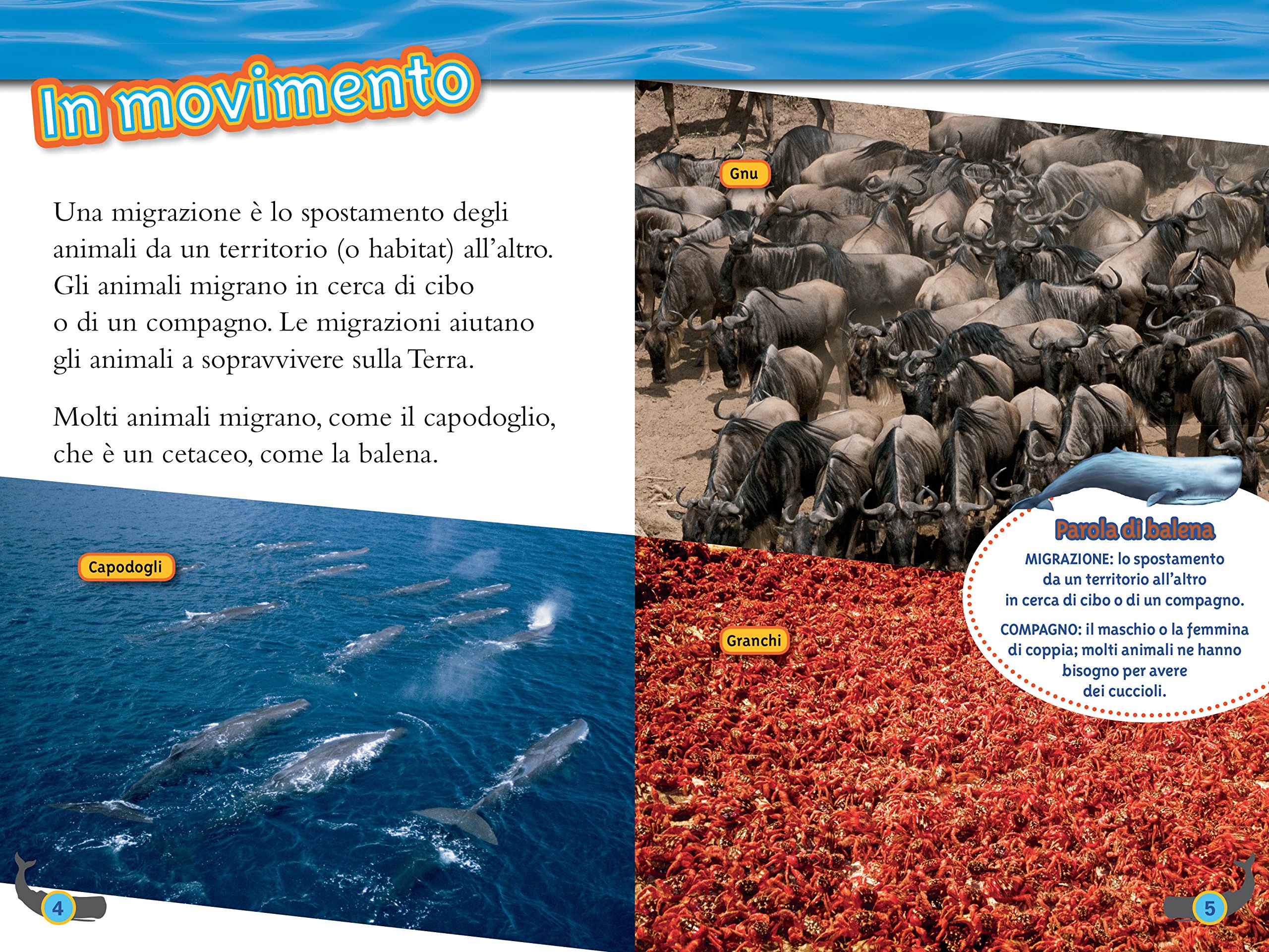 National Geographic Kids – Libri Balene. Livello 4 libro a colori