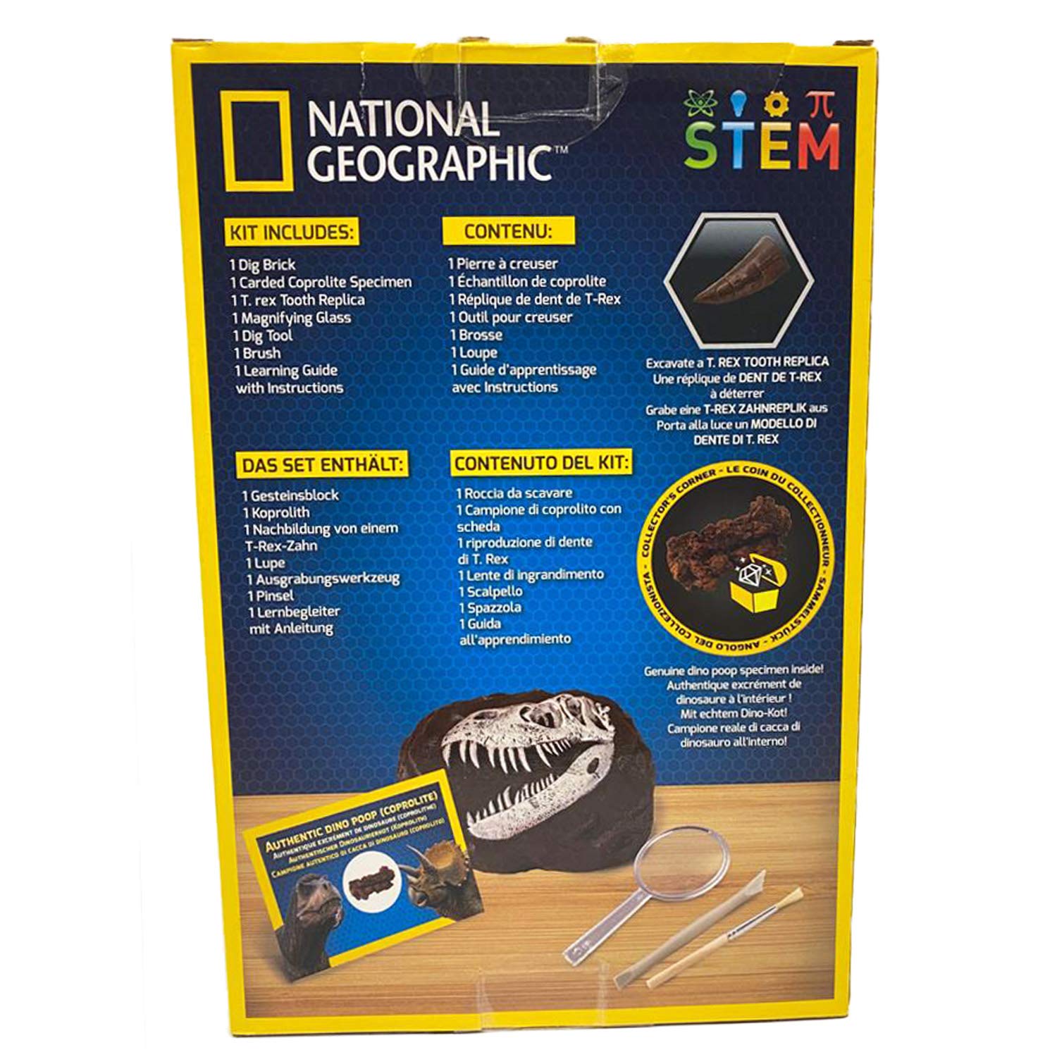 National Geographic Kit scientifici e di scoperta Kit Scavare 3 Insetti