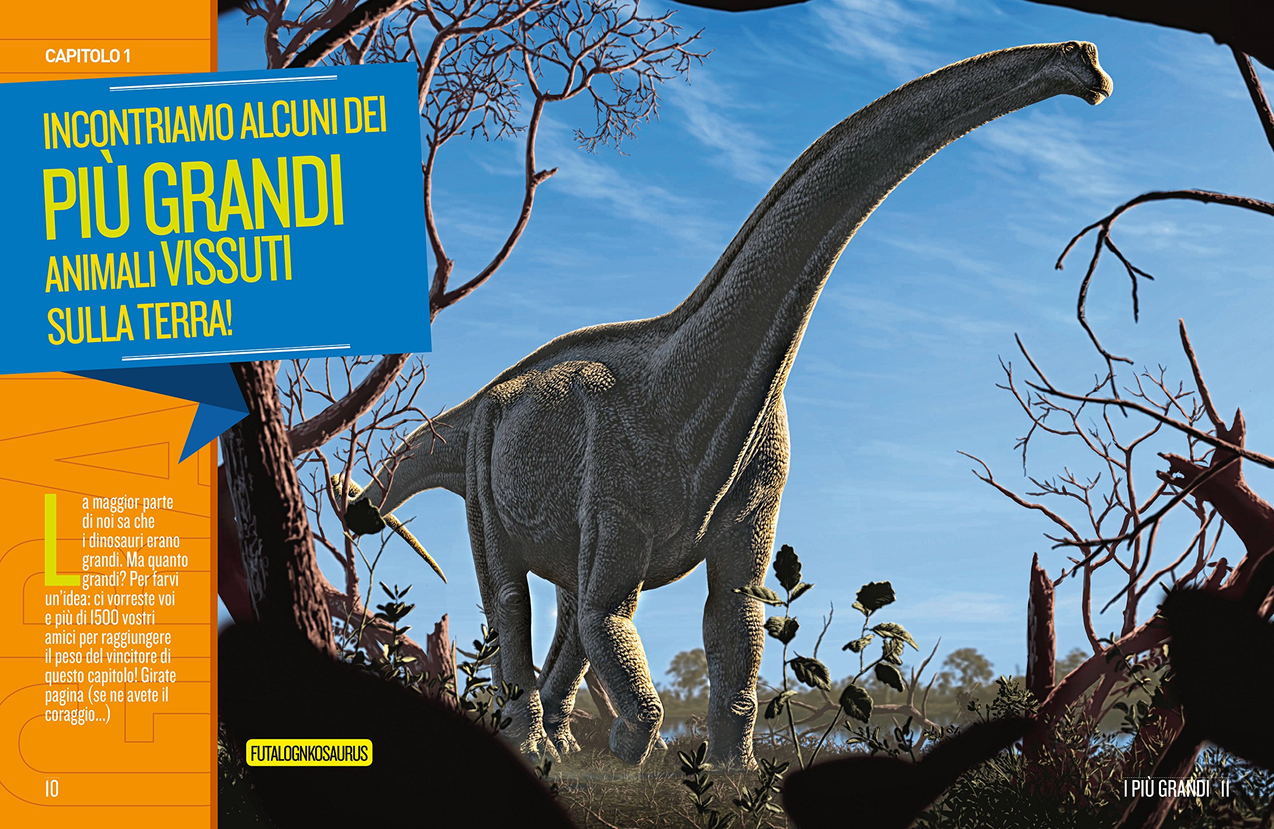 National Geographic Kids – Libri Dino Record libro a colori