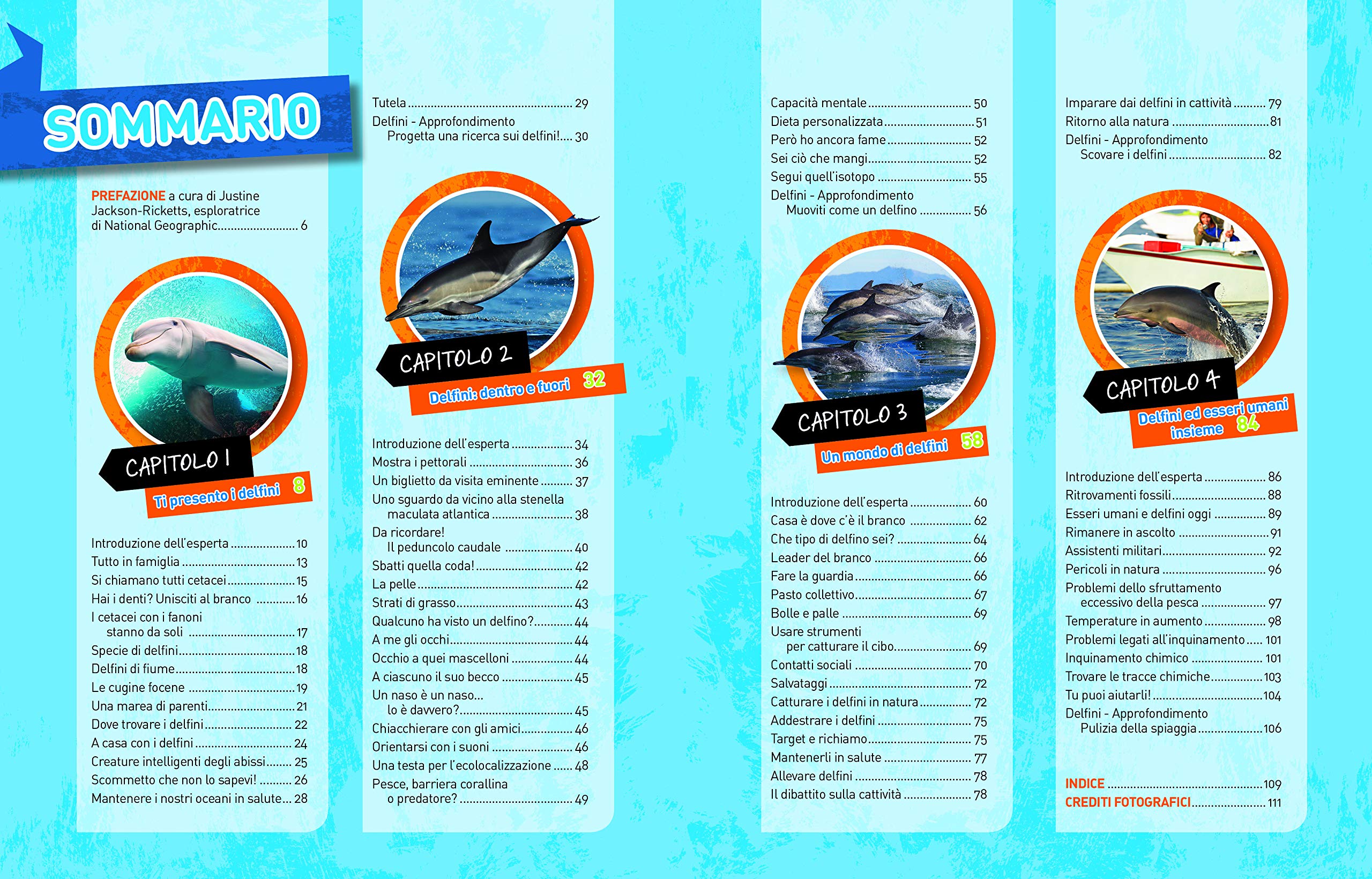 National Geographic Kids – Libri Delfini. Absolute expert