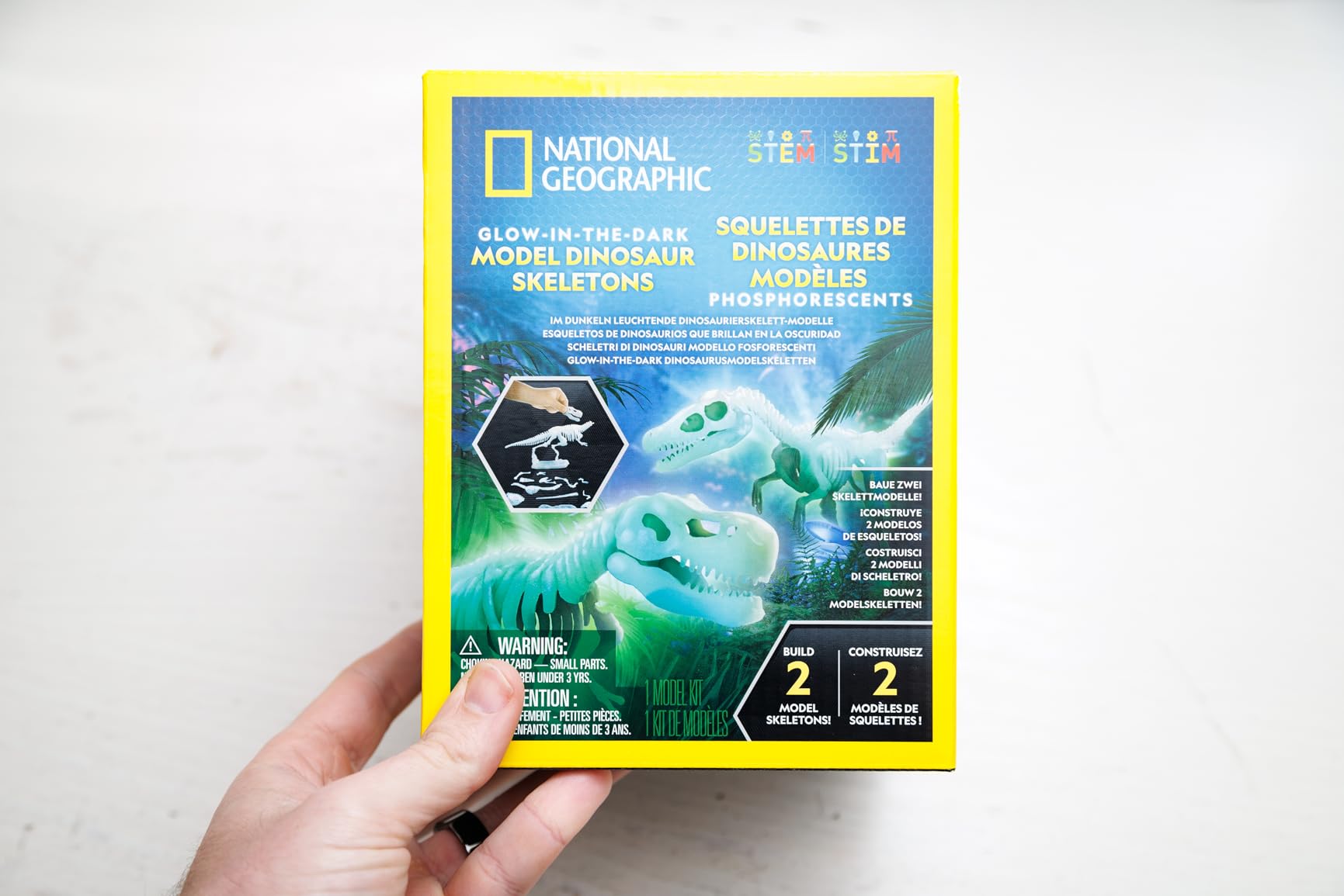 National Geographic Kit scientifici e di scoperta Scheletri Dinosauri Glow in the Dark kit fosforescente