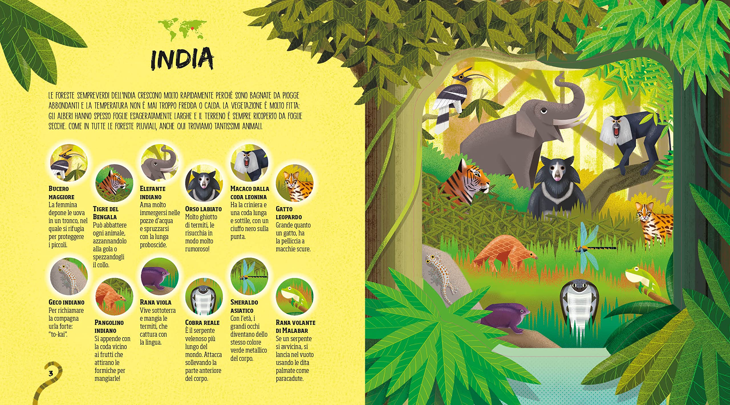 National Geographic Kids Nascosti nella giungla libro cerca animali con torcia magica