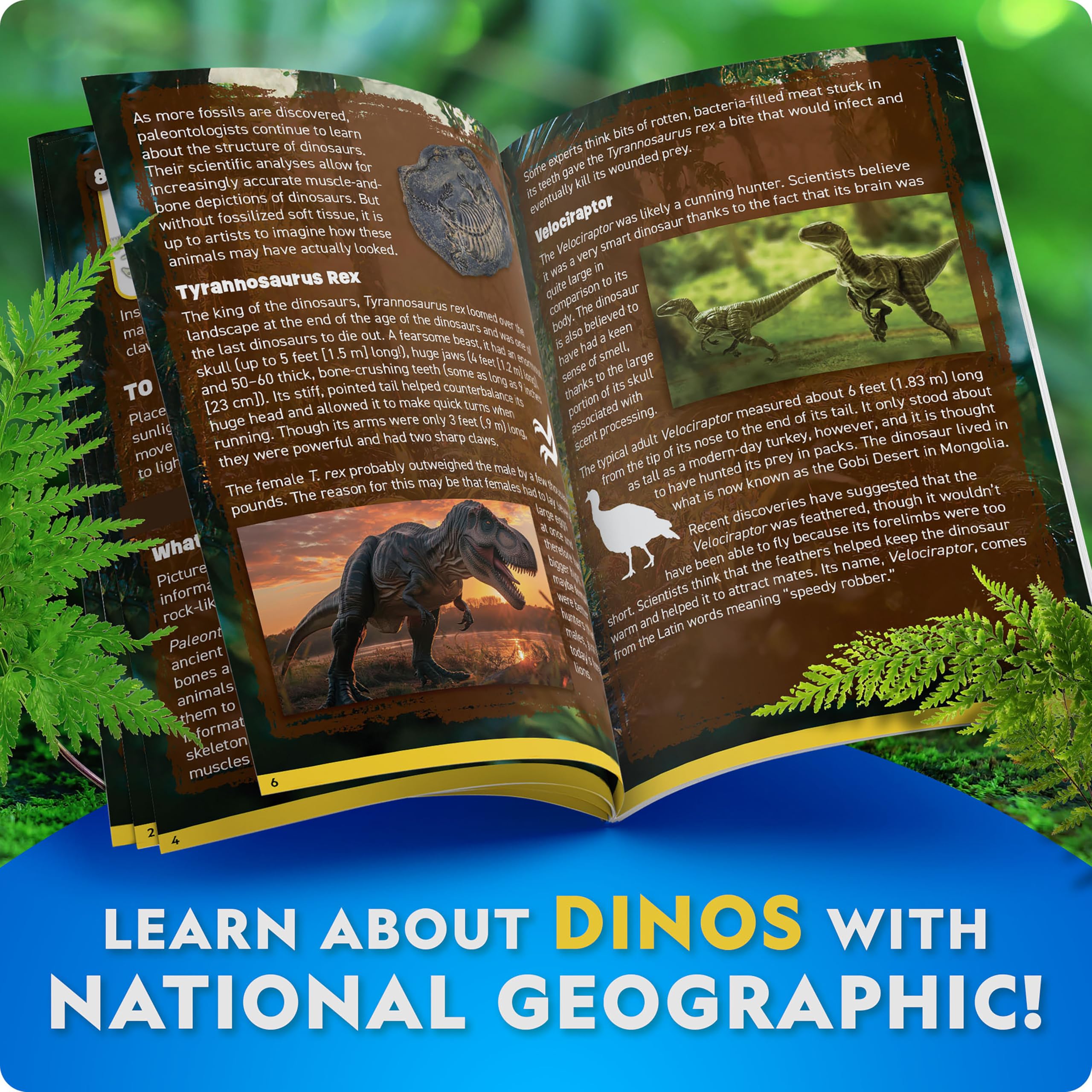 National Geographic Kit scientifici e di scoperta Scheletri Dinosauri Glow in the Dark kit fosforescente