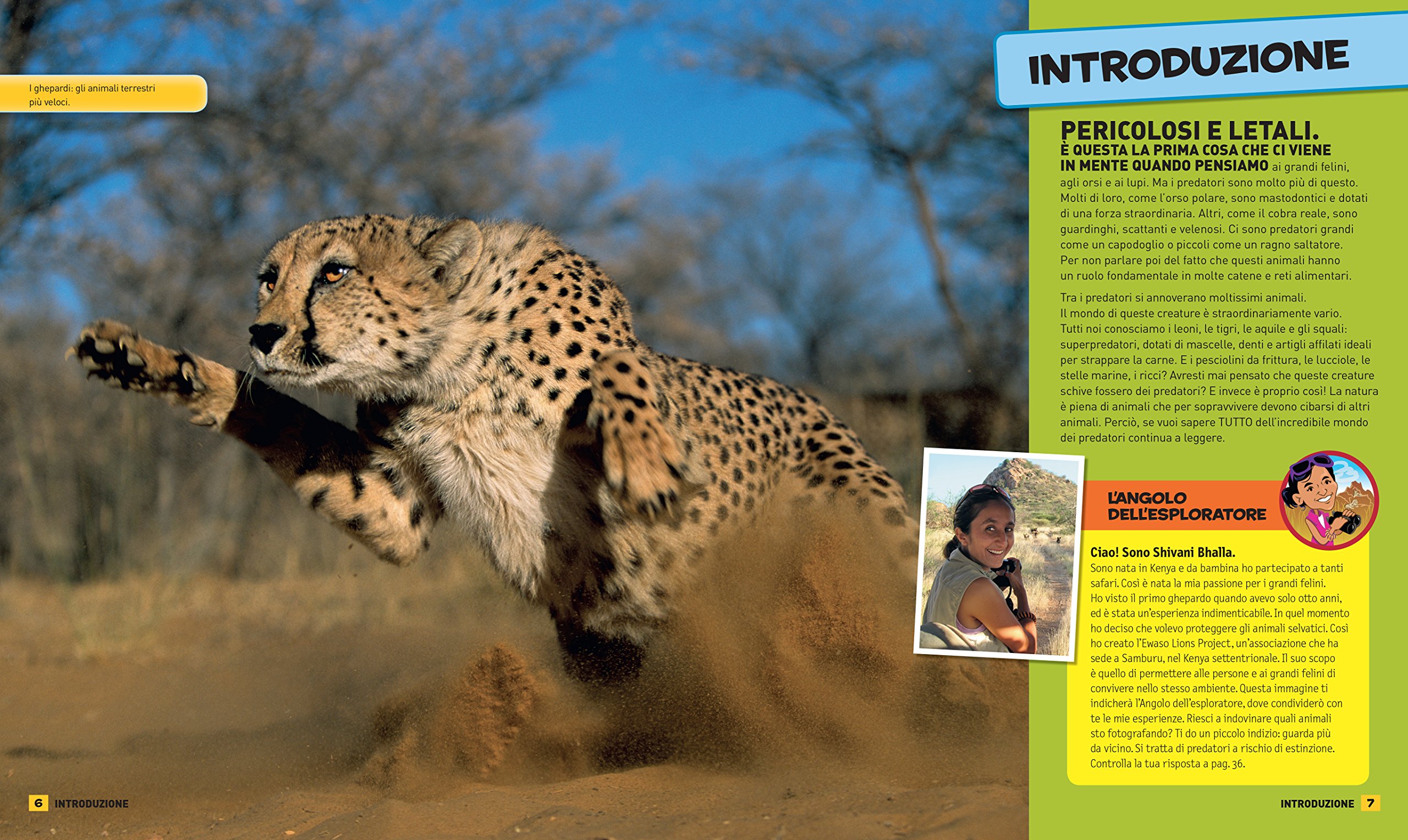 National Geographic Kids – Libri Tutto sui predatori. Ediz. a colori libro
