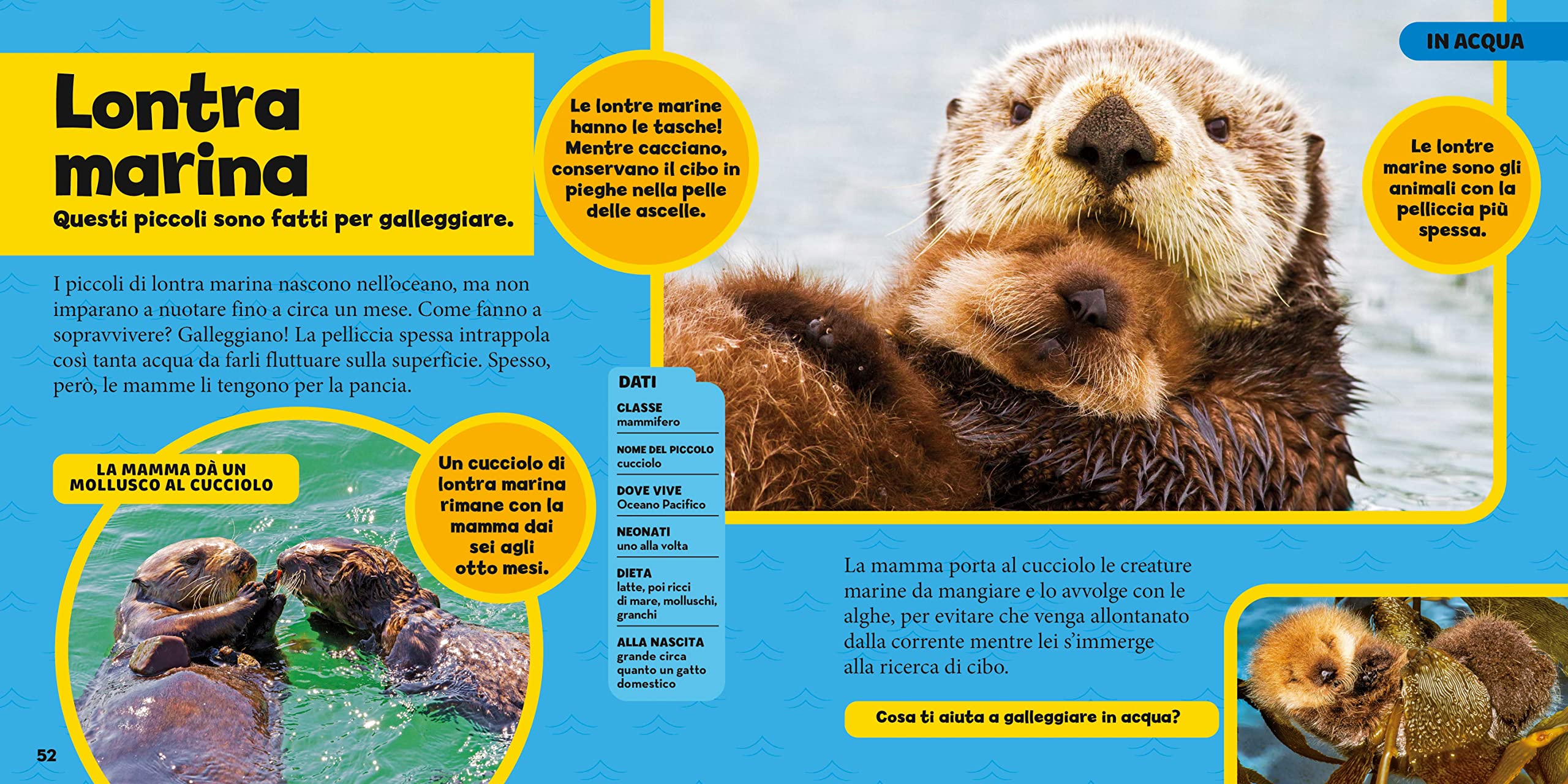 National Geographic Kids – Libri Il primo grande libro dei cuccioli libro a colori