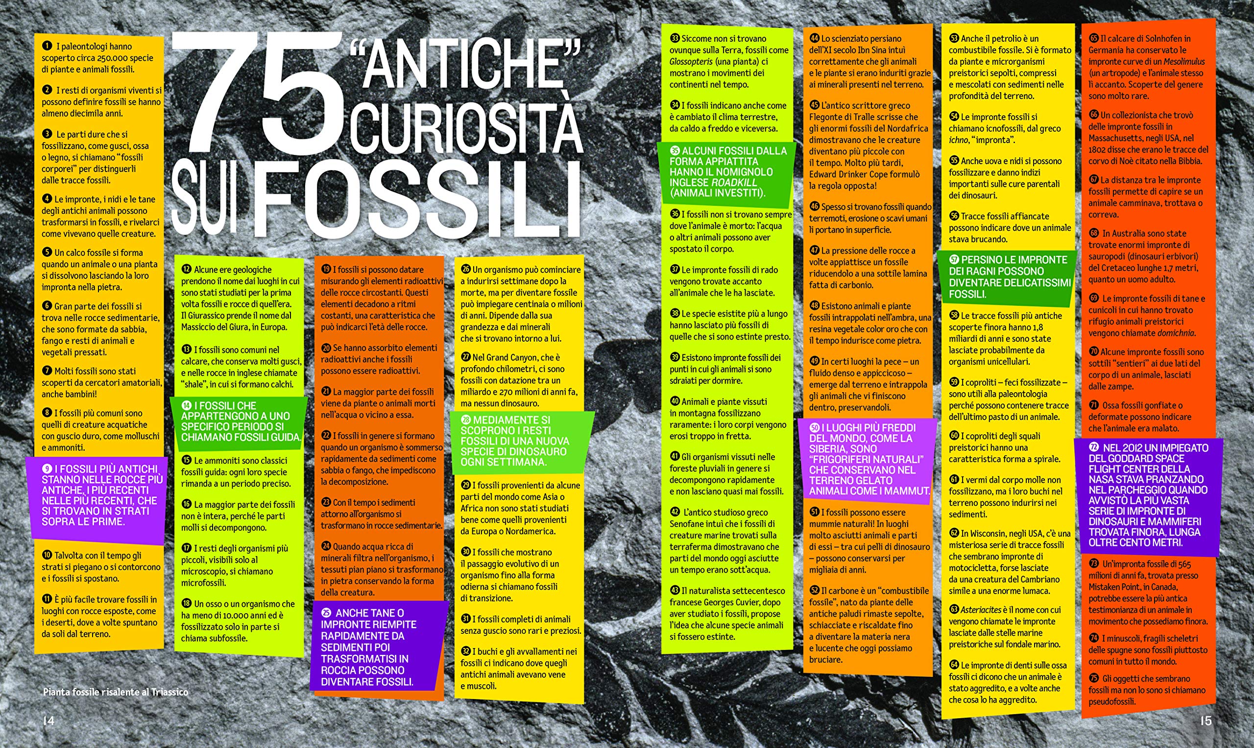 National Geographic Kids – Libri 1000 curiosità su dinosauri, fossili e vita preistorica libro