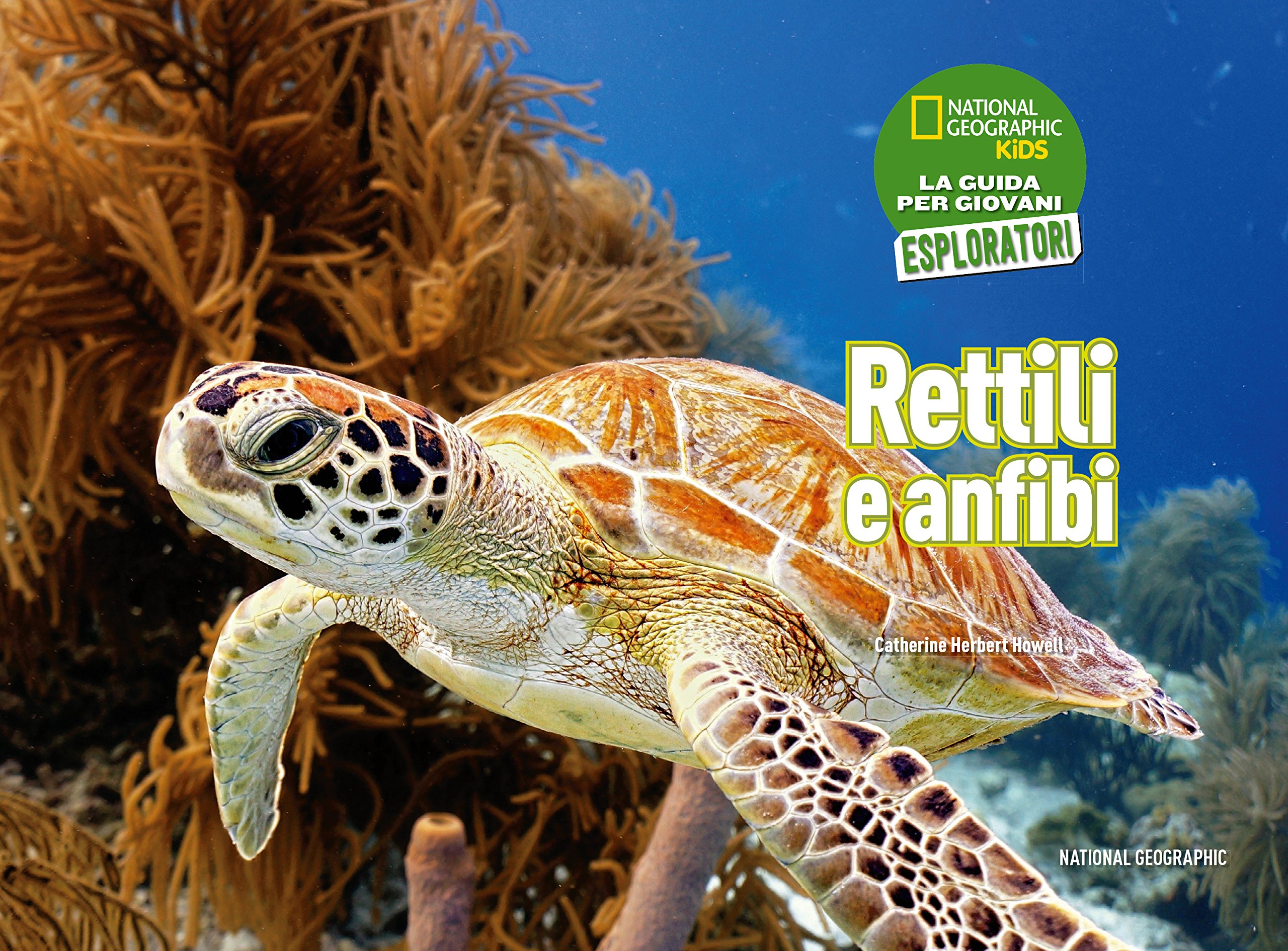 National Geographic National Geographic Kids – Libri Rettili e anfibi. Cerca l'avventura! Divertiti! Ediz. a colori libro