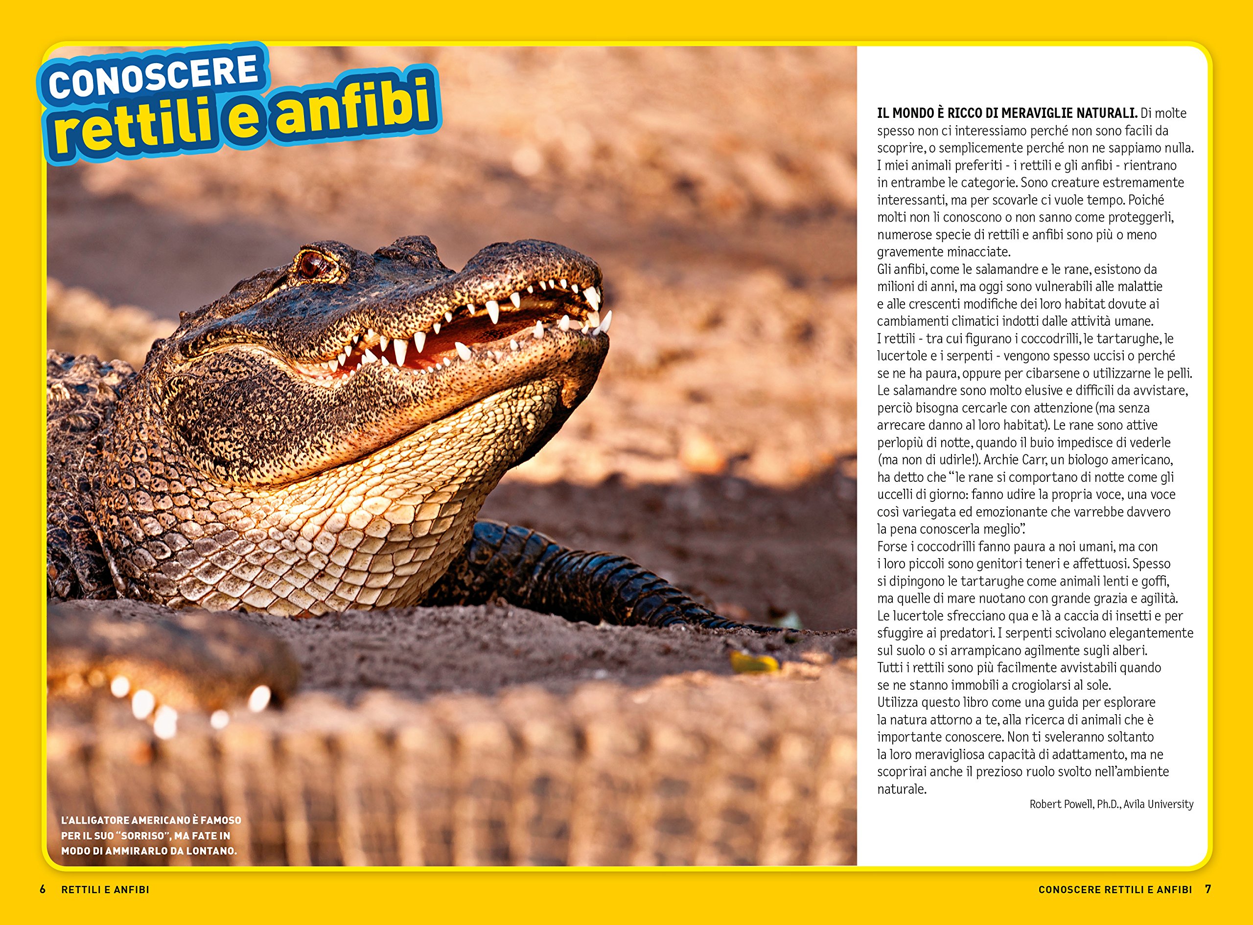 National Geographic National Geographic Kids – Libri Rettili e anfibi. Cerca l'avventura! Divertiti! Ediz. a colori libro