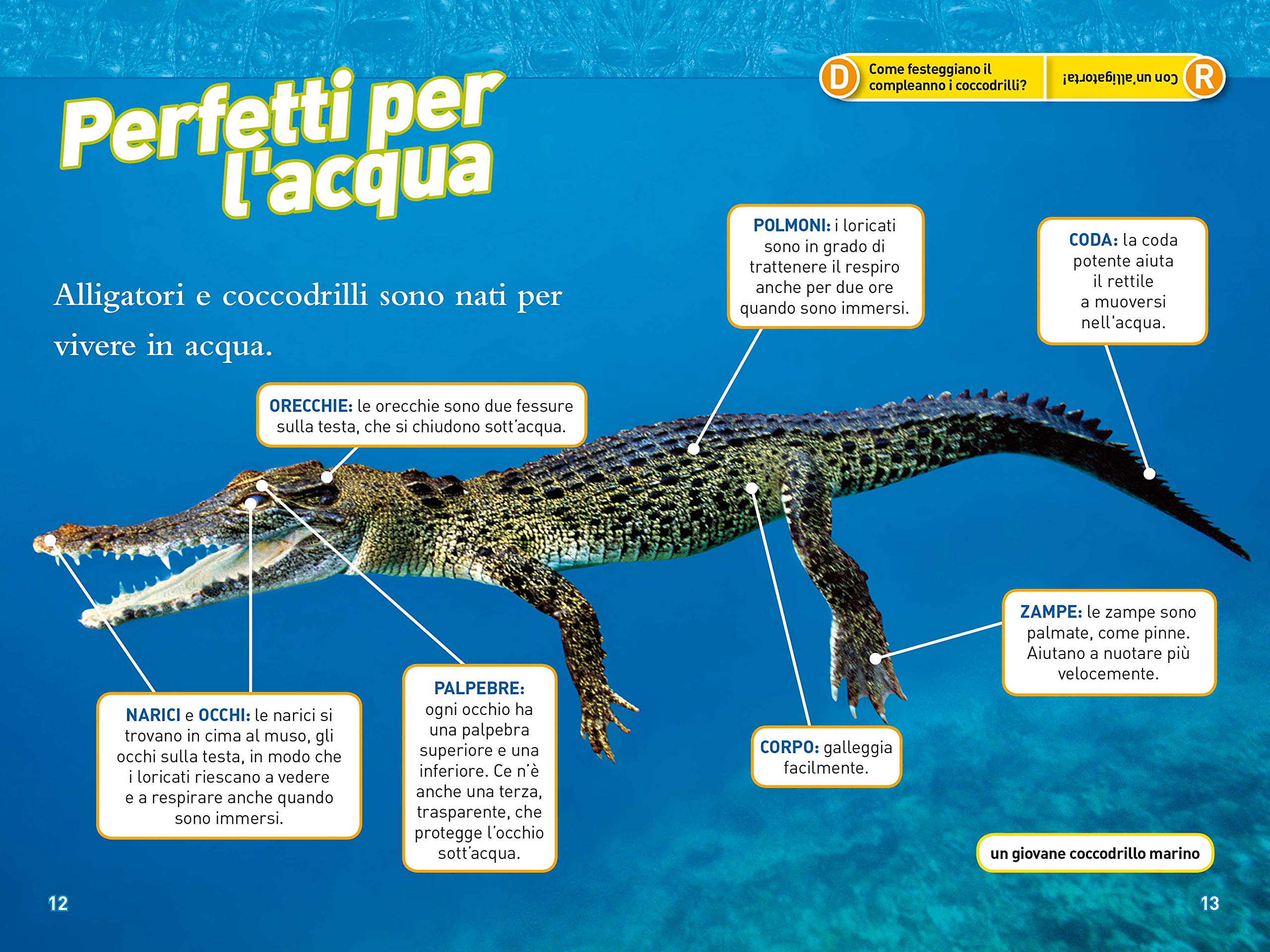 National Geographic National Geographic Kids – Libri Alligatori e coccodrilli. Livello 3. Diventa un super lettore libro