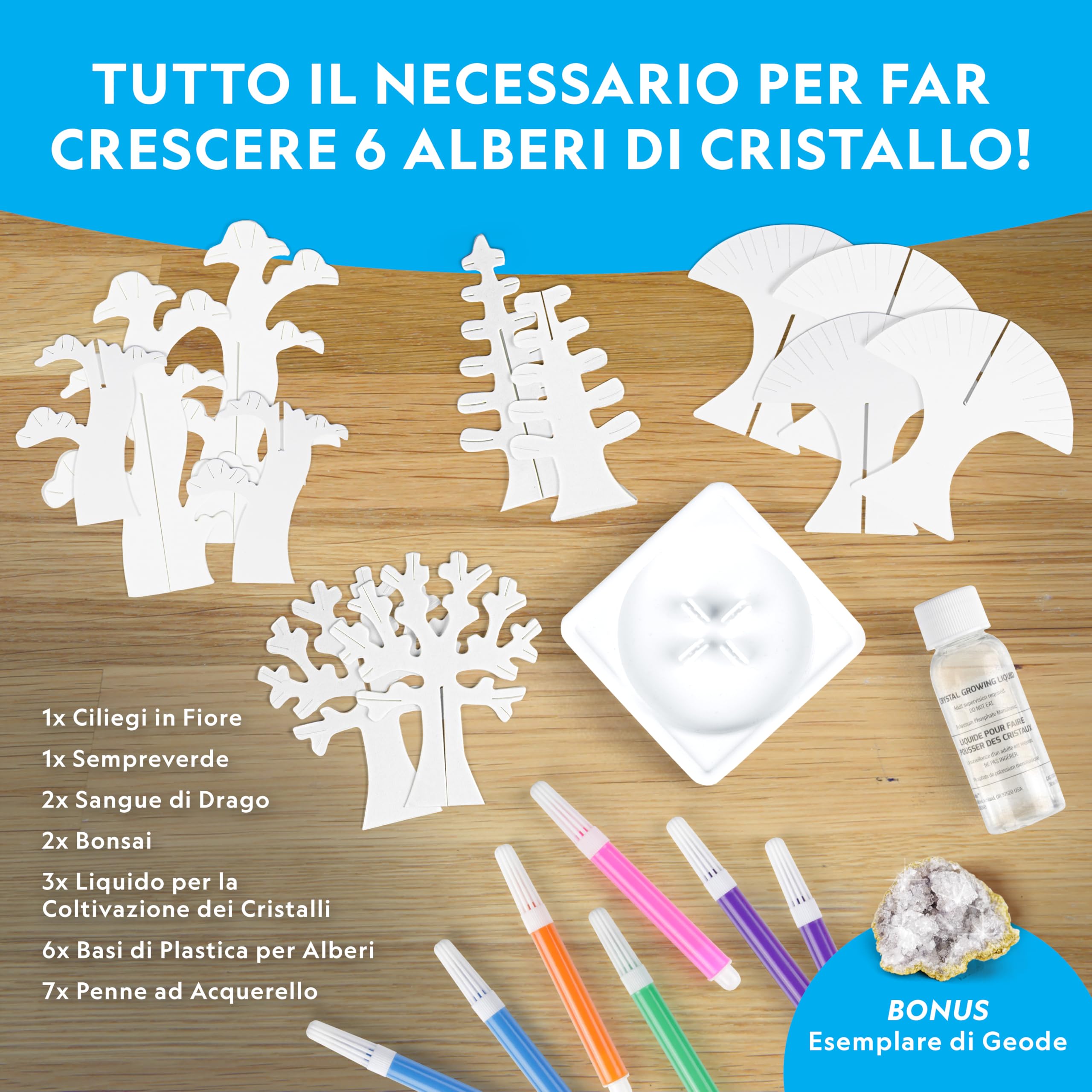National Geographic Kit scientifici e di scoperta Kit Creativo per Coltivare 6 Alberi di Cristallo