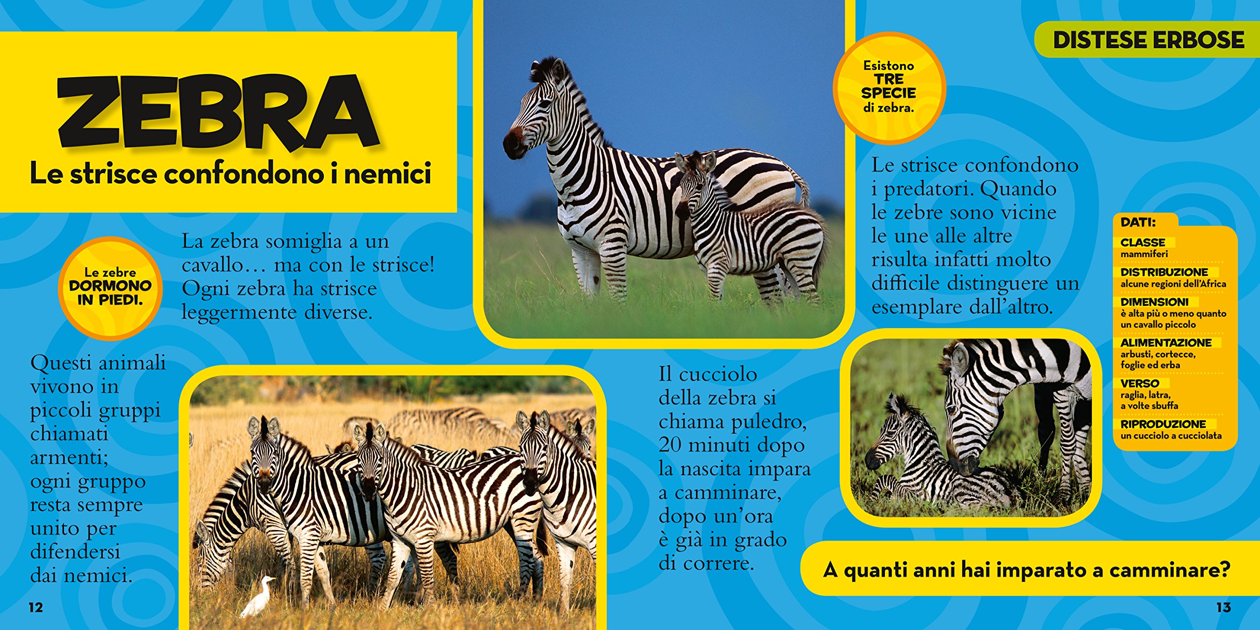 National Geographic Kids Il primo grande libro degli animali libro illustrato