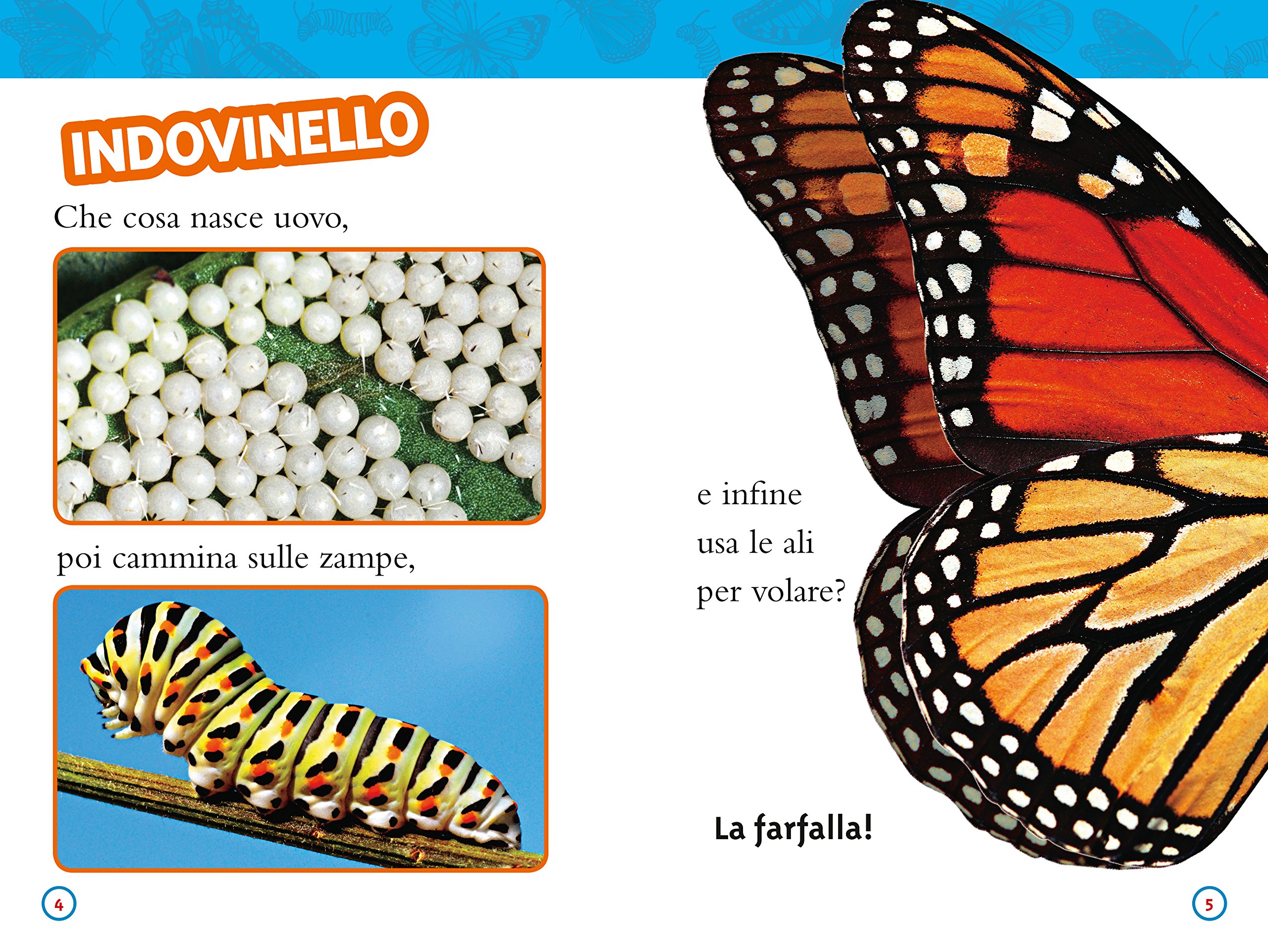 National Geographic Kids – Libri Da bruco a farfalla libro