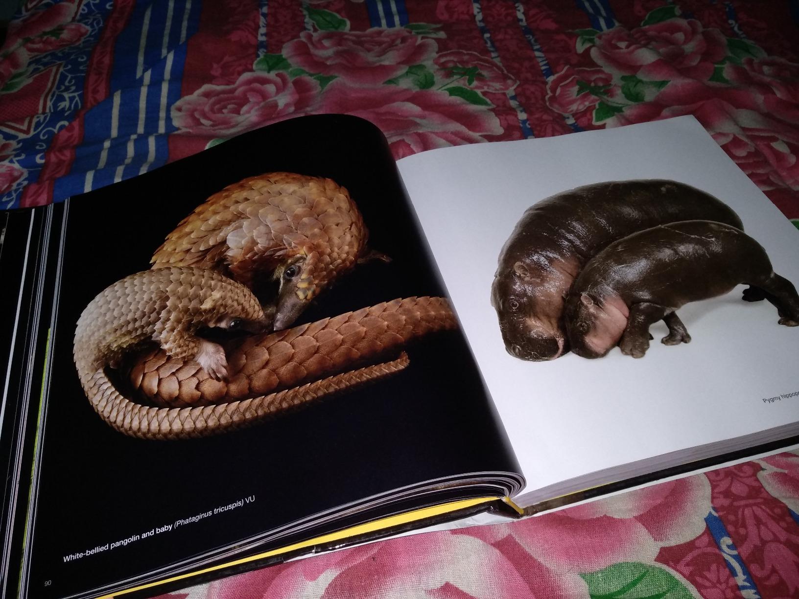 National Geographic – Libri The Photo Ark libro fotografico sugli animali