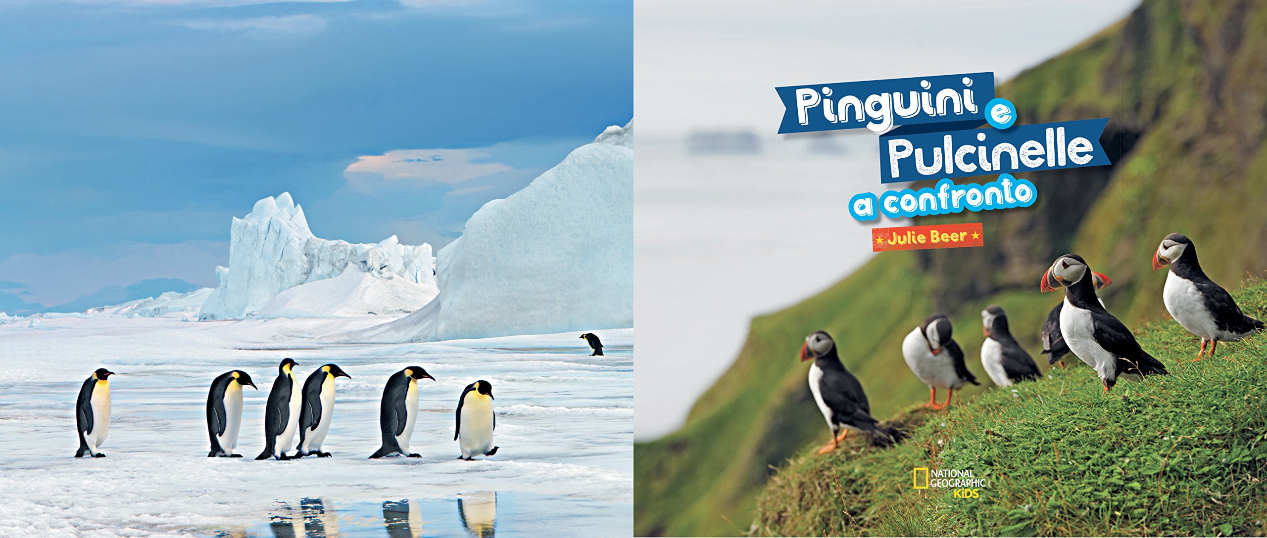 National Geographic Kids – Libri Pinguini e pulcinelle a confronto libro