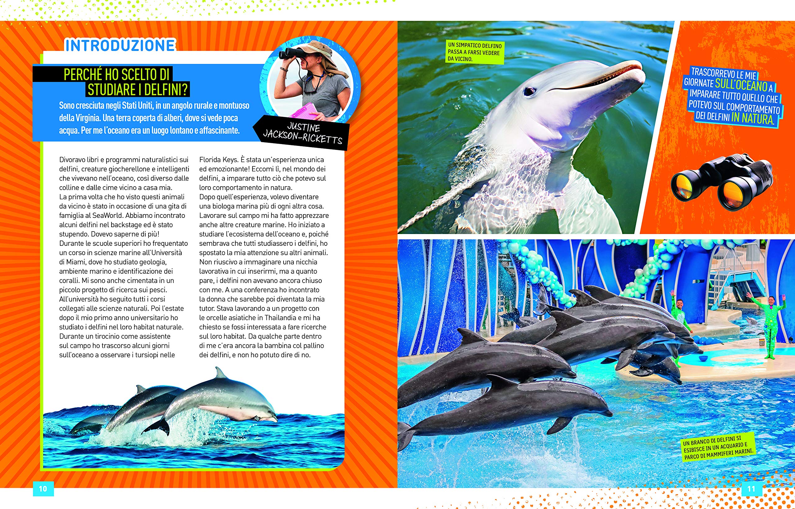 National Geographic Kids – Libri Delfini. Absolute expert