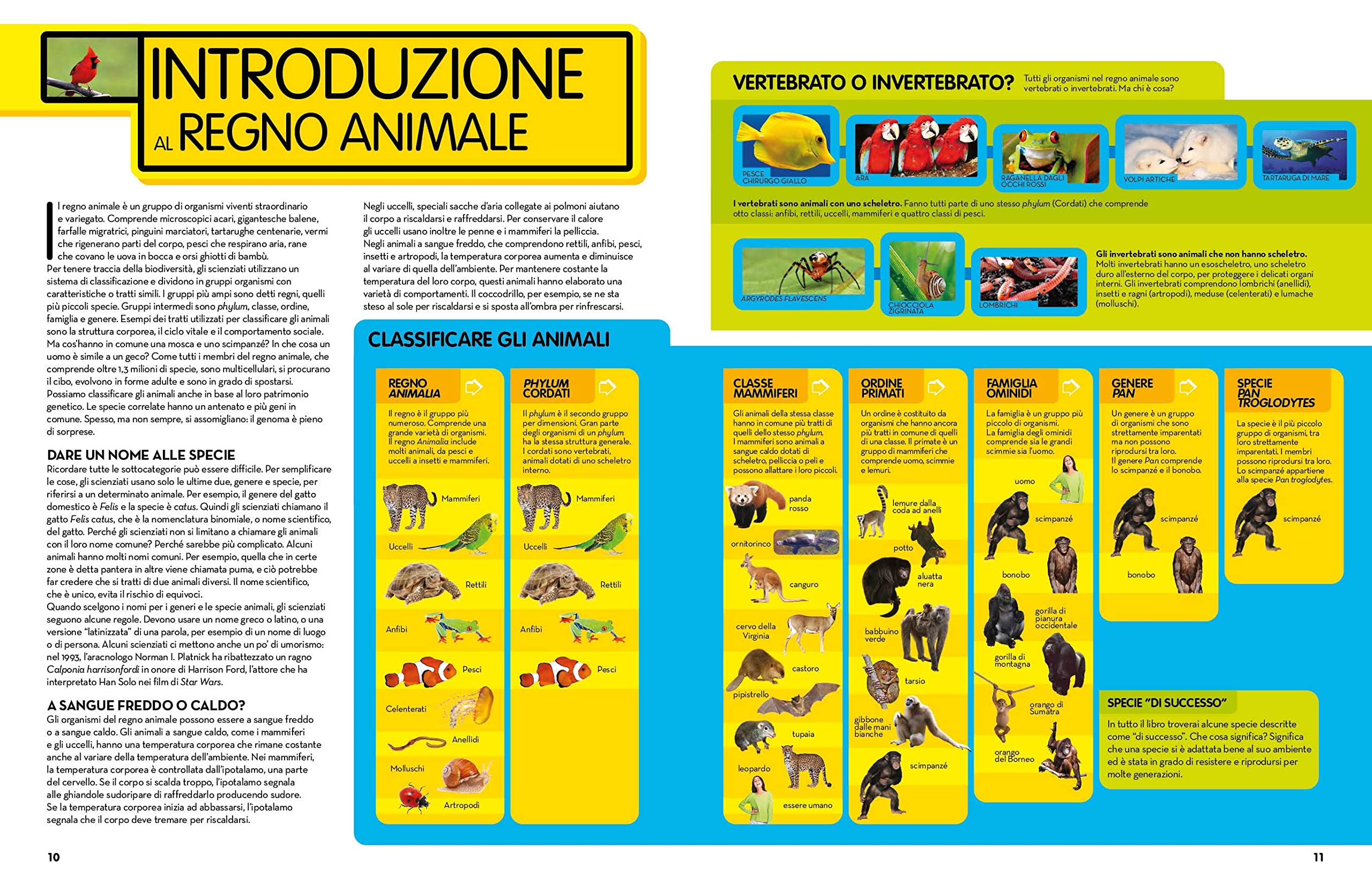 National Geographic Kids – Libri La Grande Enciclopedia Degli Animali guida illustrata