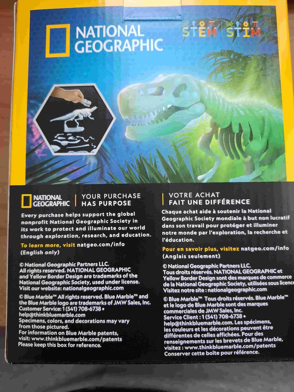 National Geographic Kit scientifici e di scoperta Scheletri Dinosauri Glow in the Dark kit fosforescente