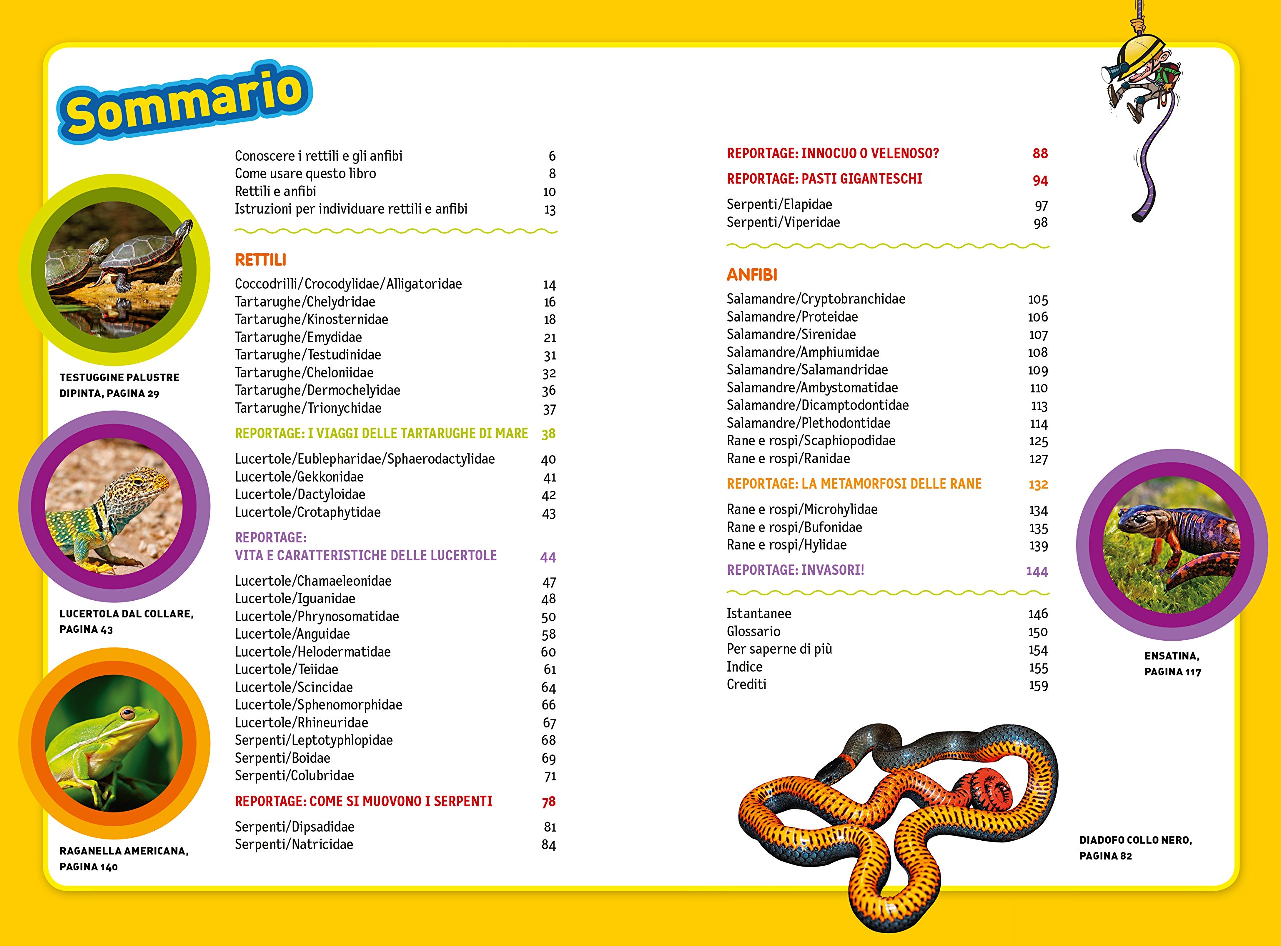 National Geographic National Geographic Kids – Libri Rettili e anfibi. Cerca l'avventura! Divertiti! Ediz. a colori libro
