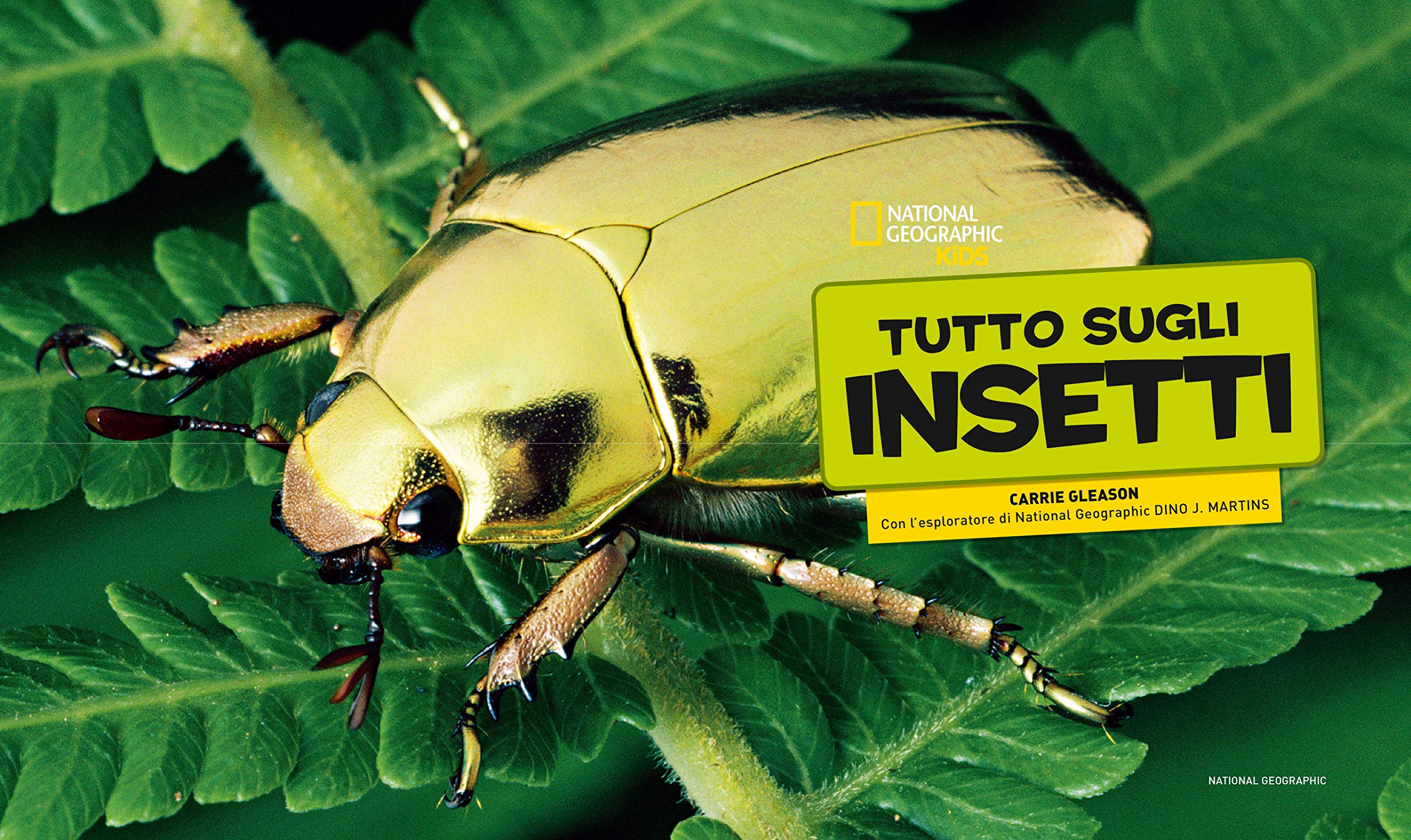 National Geographic Kids – Libri Tutto sugli insetti libro