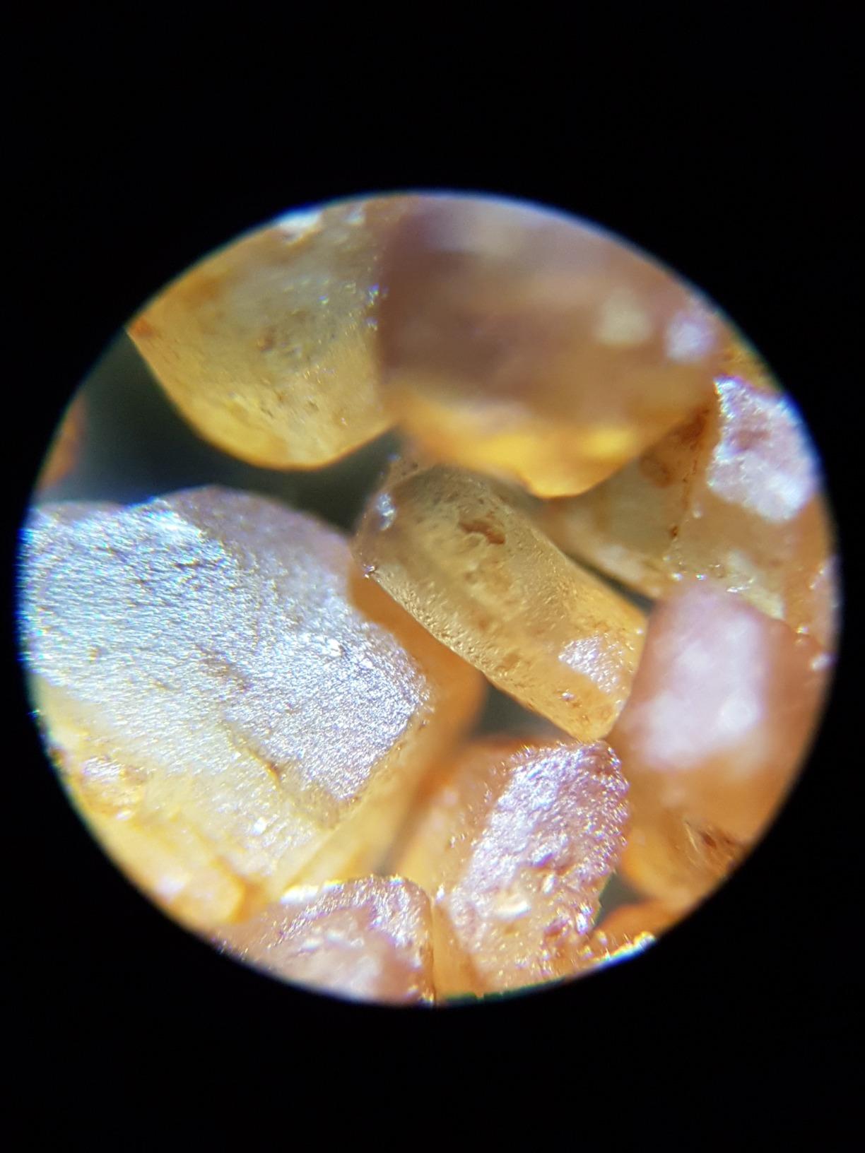 National Geographic Microscopi 9039001 Microscopio 40X-1280X con smartphone