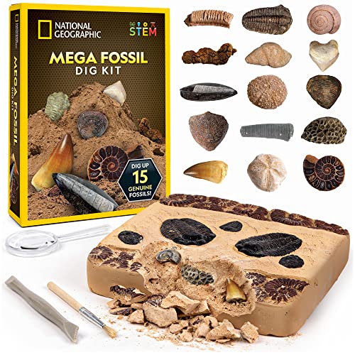 National Geographic Kit scientifici e di scoperta NGSUPERFOS kit di scavo fossili 15 fossili