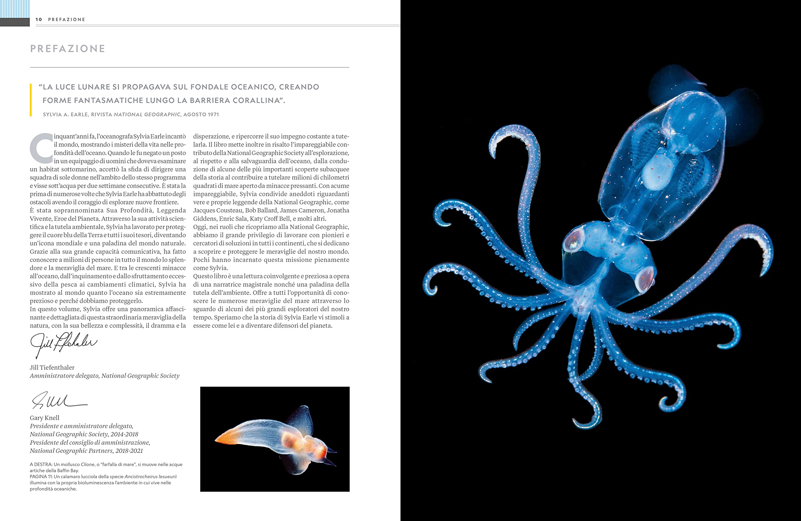 National Geographic – Libri NATURA E POPOLI - Oceani: L'ultima odissea libro illustrato