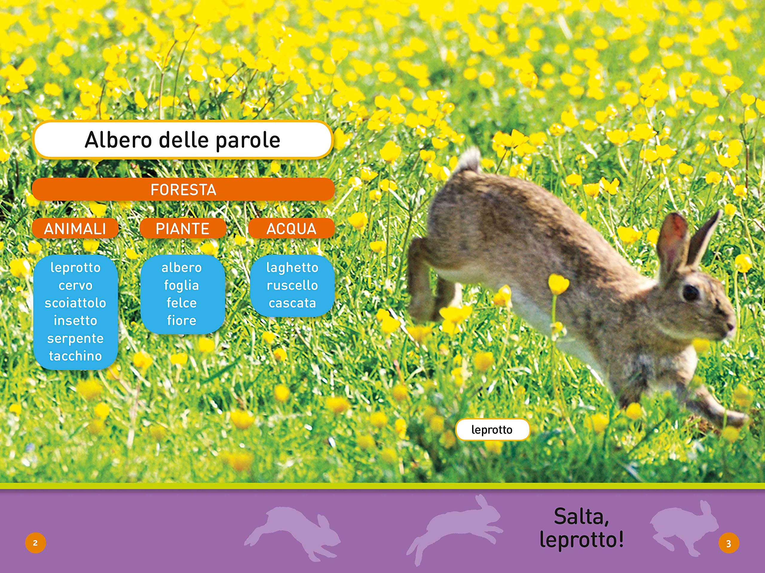 National Geographic Kids – Libri Salta leprotto! I segreti del bosco libro