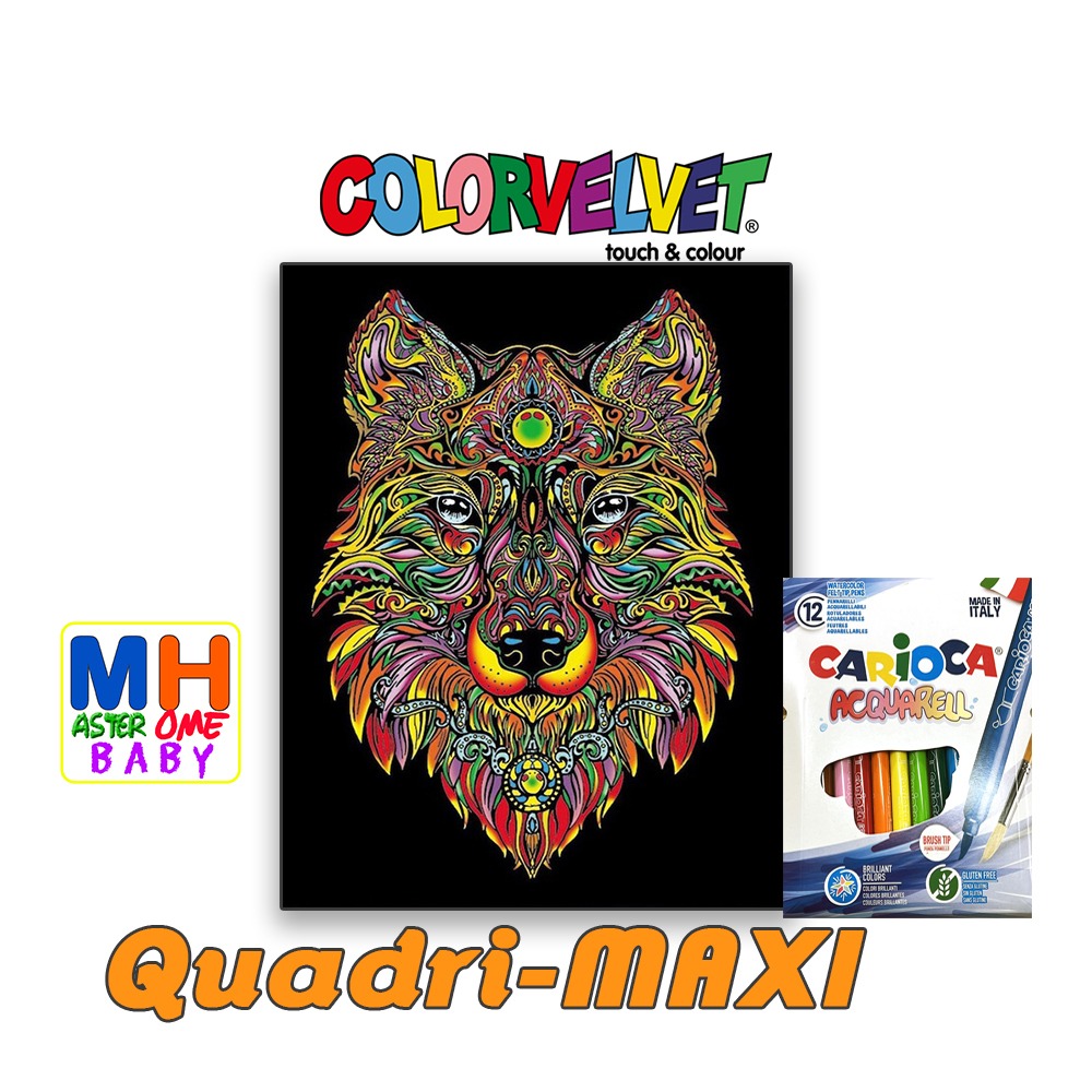 Colorvelvet Quadri-MAXI quadri da colorare