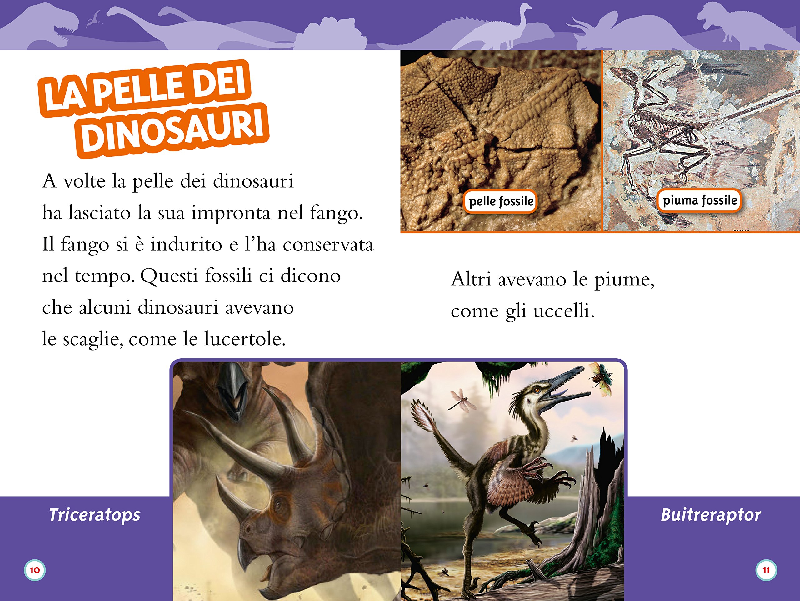 National Geographic Kids – Libri Dinosauri Livello 2 libro