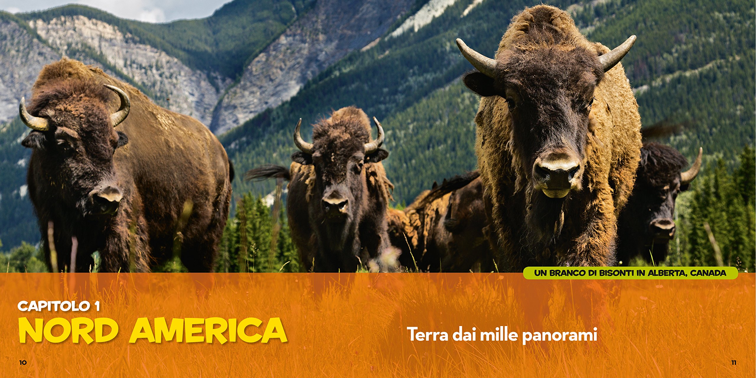 National Geographic Kids – Libri Il primo grande libro del mondo a colori