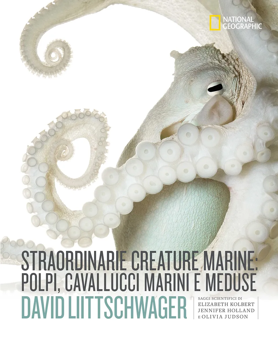 National Geographic Libri Straordinarie creature marine libro a colori